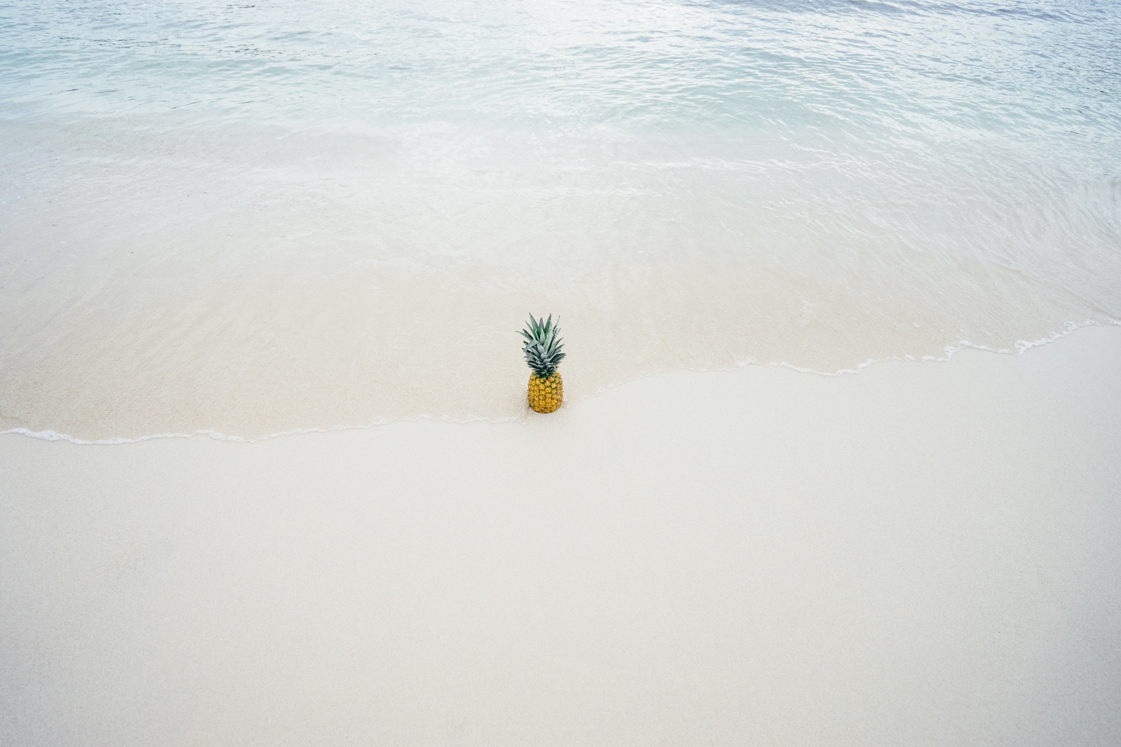 ocean washing ashore with the pineapple in the beach sand, pineapple in the beach sand 4k, HD Wallpaper