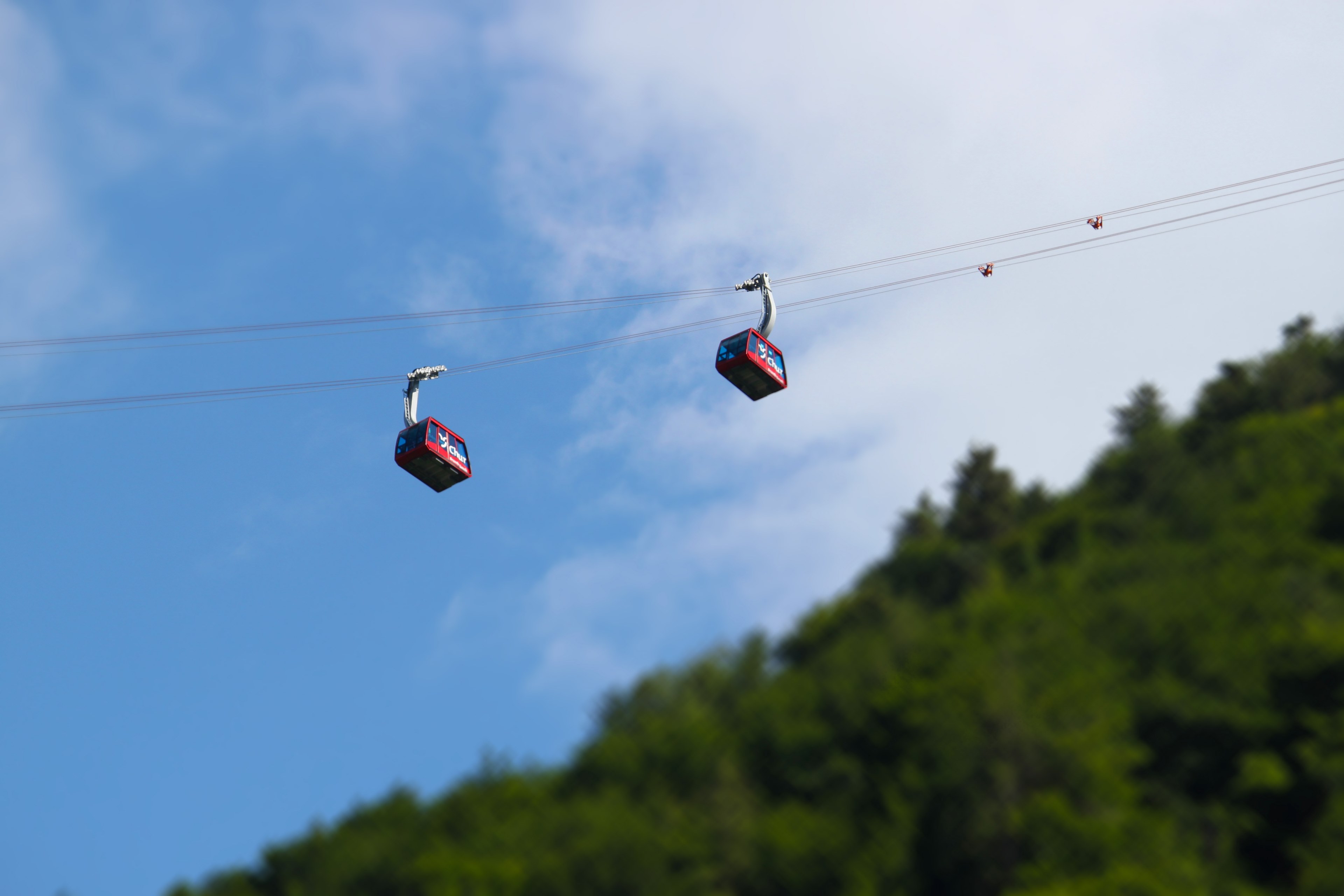 tilt shift view of cable cars ascneing up a mountain with clear blue skies in the background, _tilt shift cable car 4k, HD Wallpaper