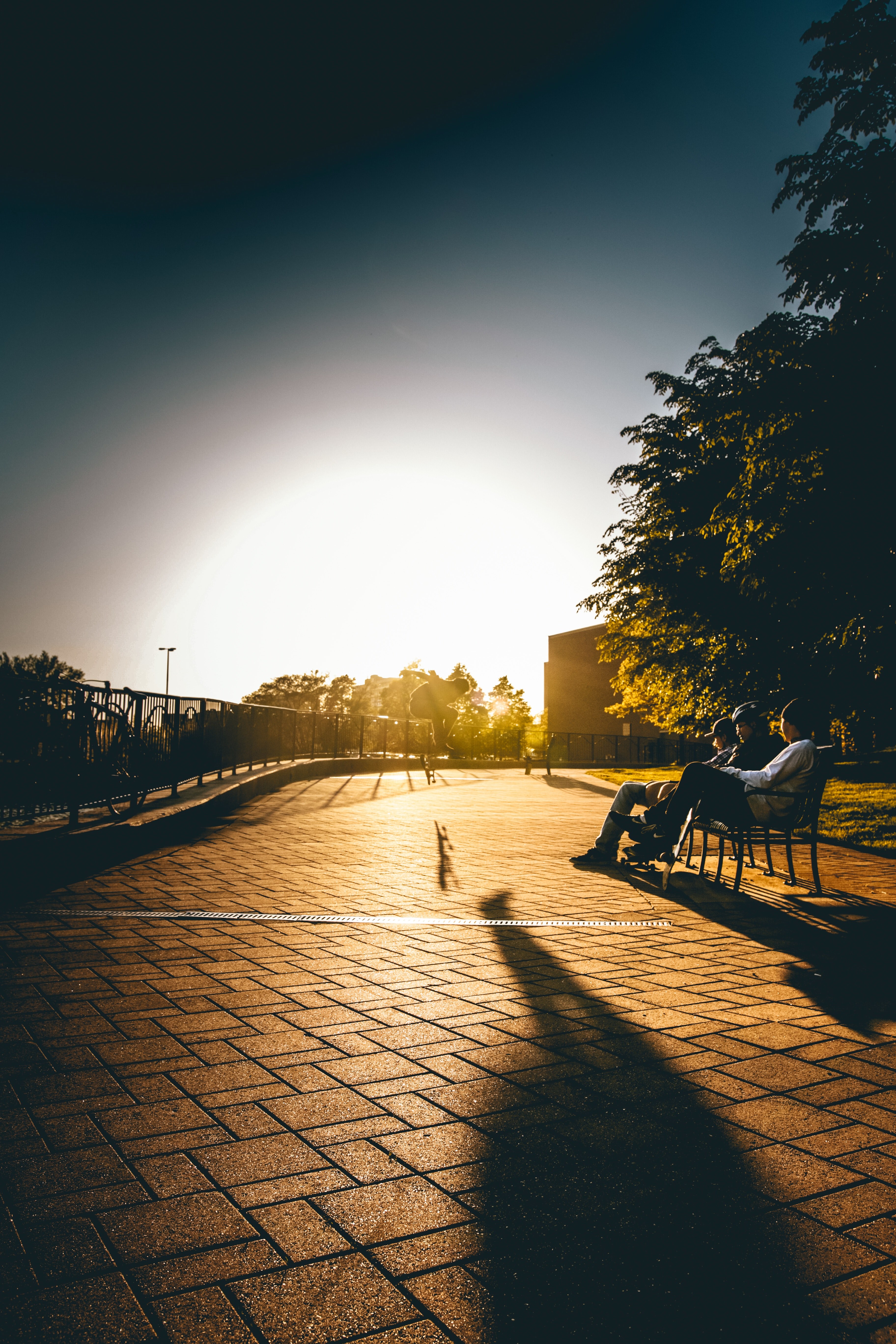 person shadow flare and sun hd, 4k, Phone HD Wallpaper