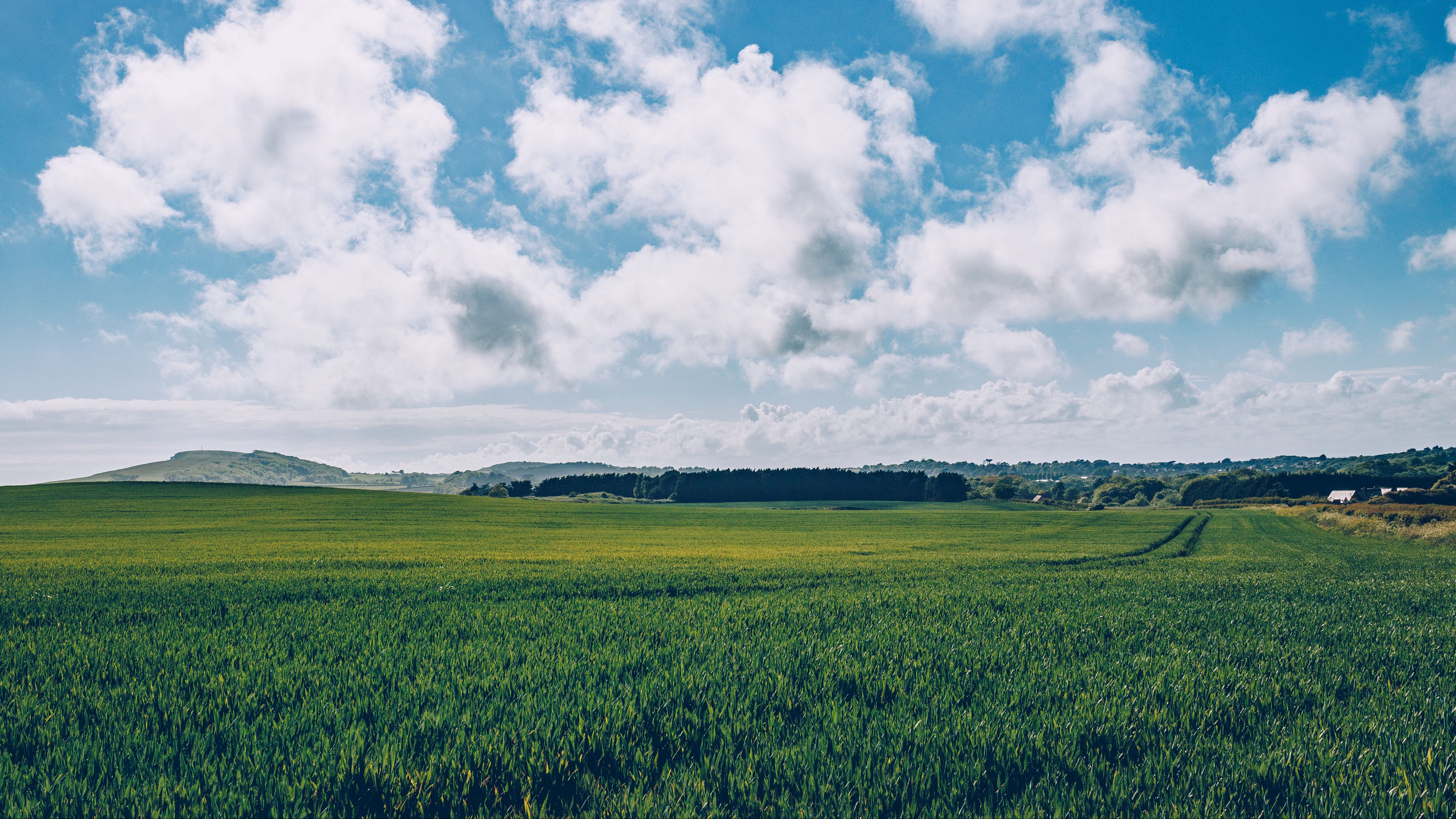 field, grass, horizon, 4k, HD Wallpaper