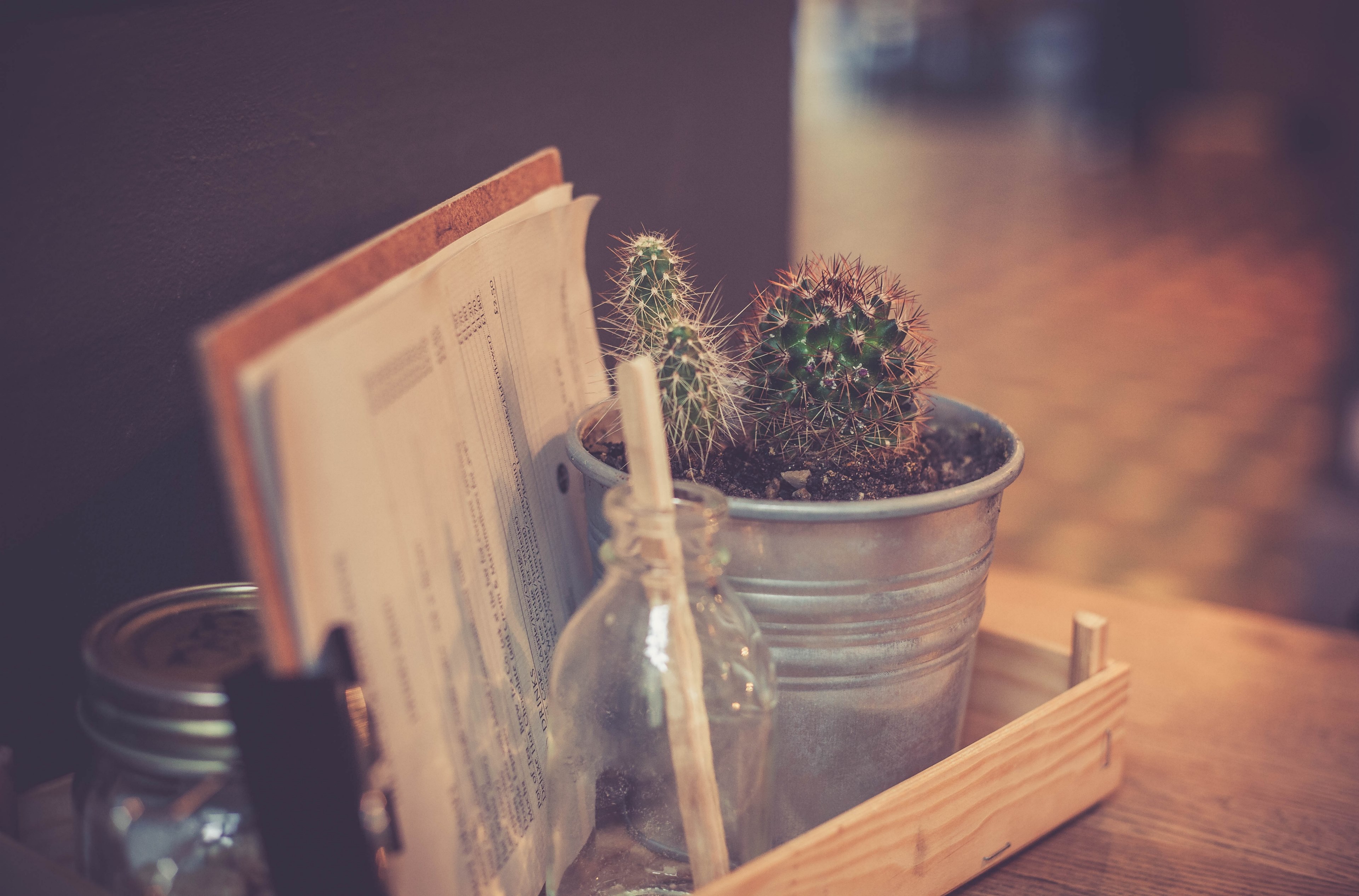 trendy coffee house with cactus plants and rustic decor, trendy restaurant table 4k, HD Wallpaper