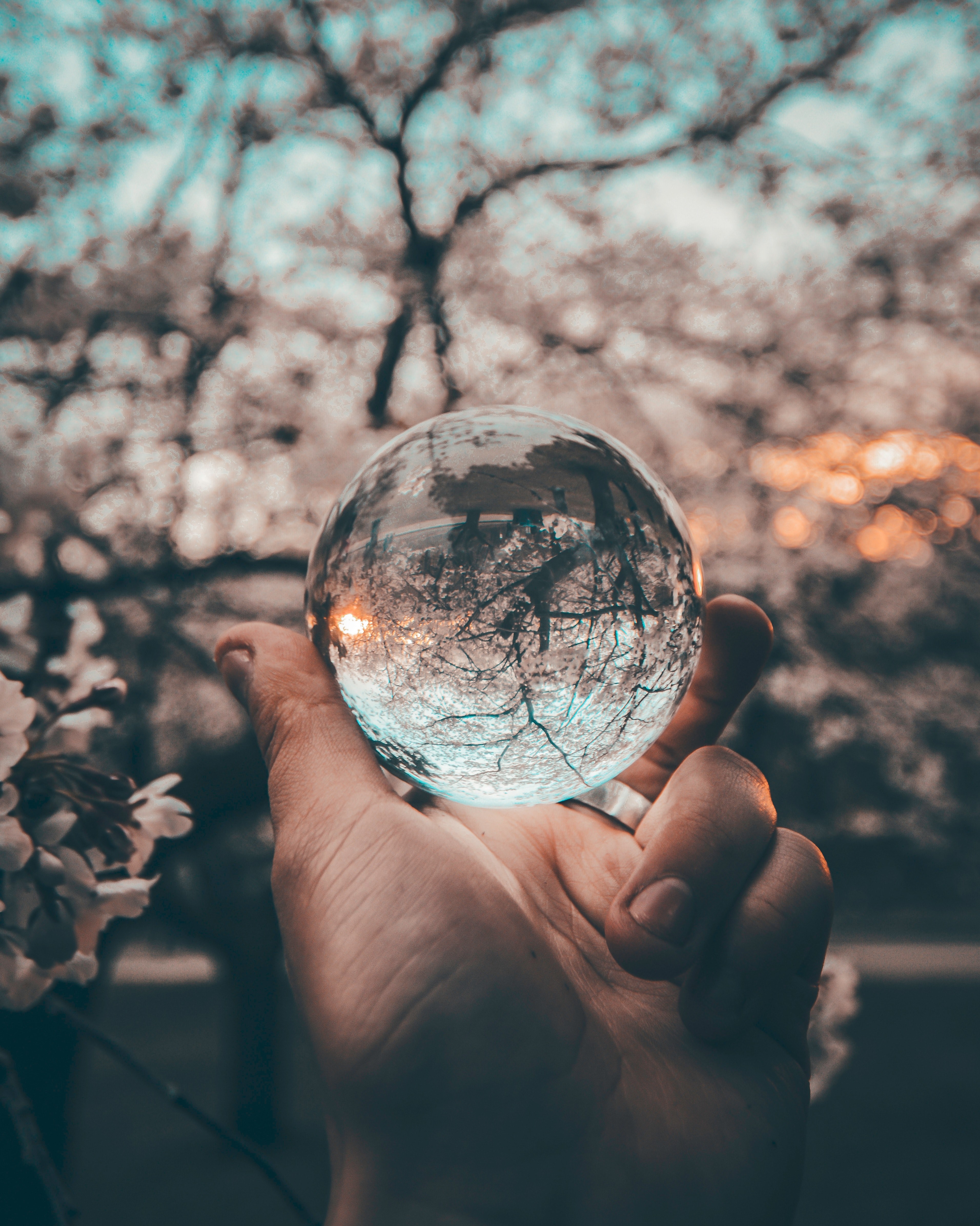 reflect through 4k, Phone HD Wallpaper