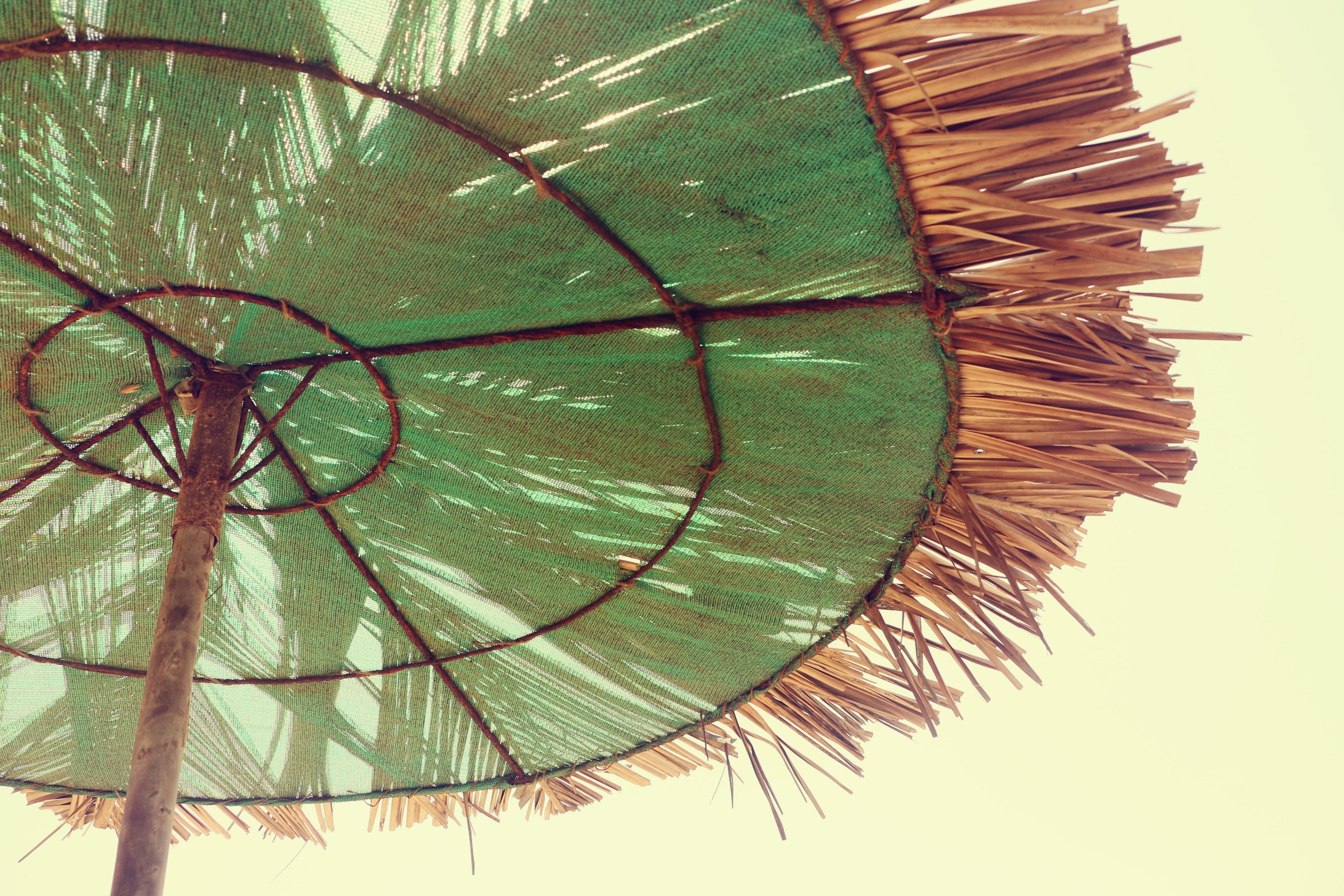 green house sunlight umbrella and goa 4k, HD Wallpaper