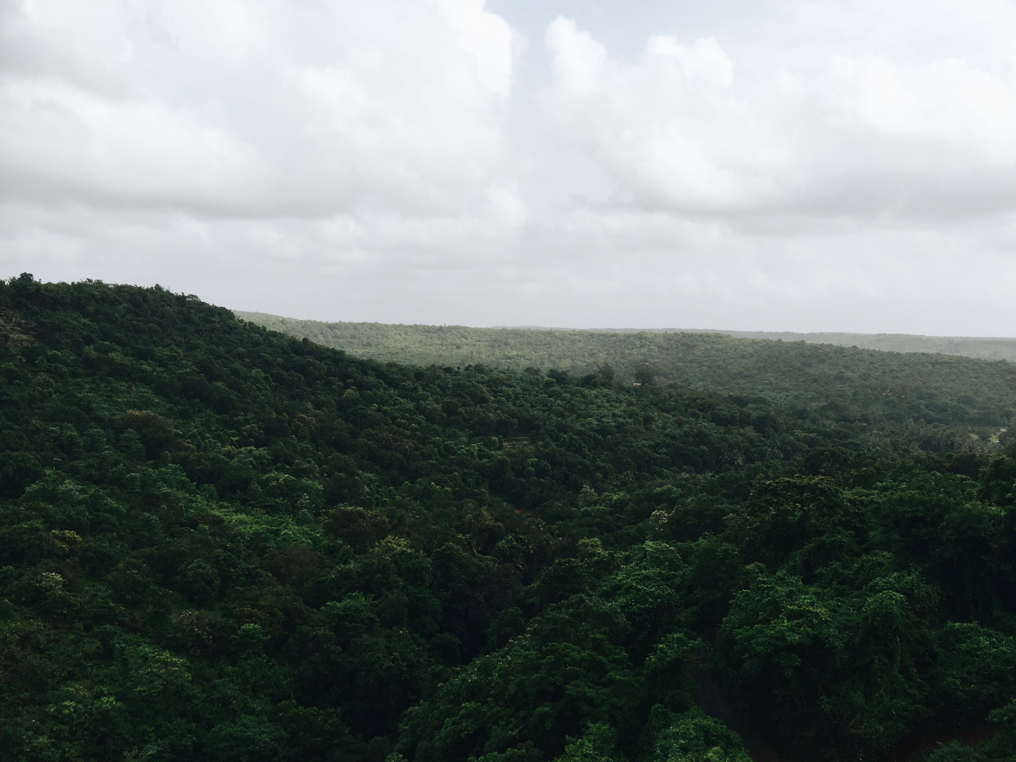a dark green forest stretching to the horizon in lonavala india, vast green forest 4k, HD Wallpaper