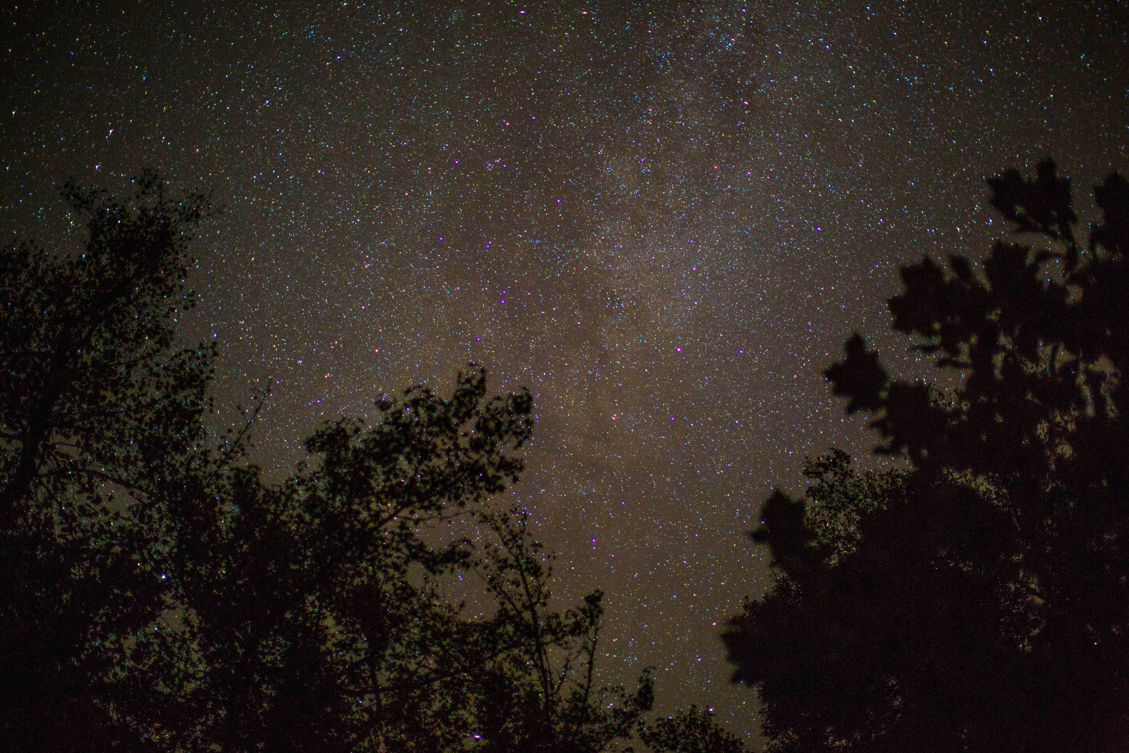 silhouette of trees against the night sky full of stars at the great smoky mountains, stars great smoky mountains 4k, HD Wallpaper