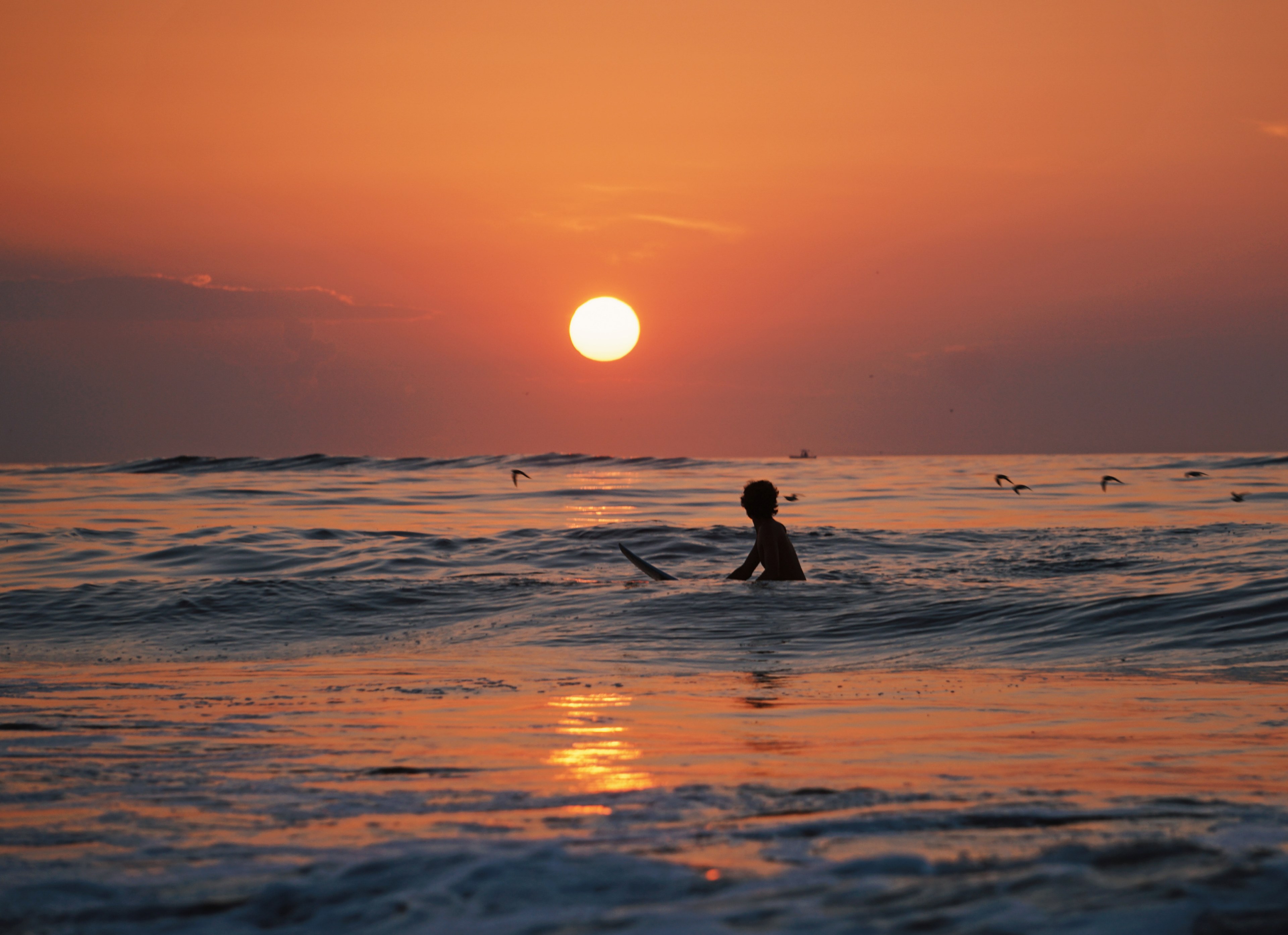 a surfer in the sea at ocean city with birds flying over the water and the sun setting over the horizon, ocean city sunset surfing 4k, HD Wallpaper