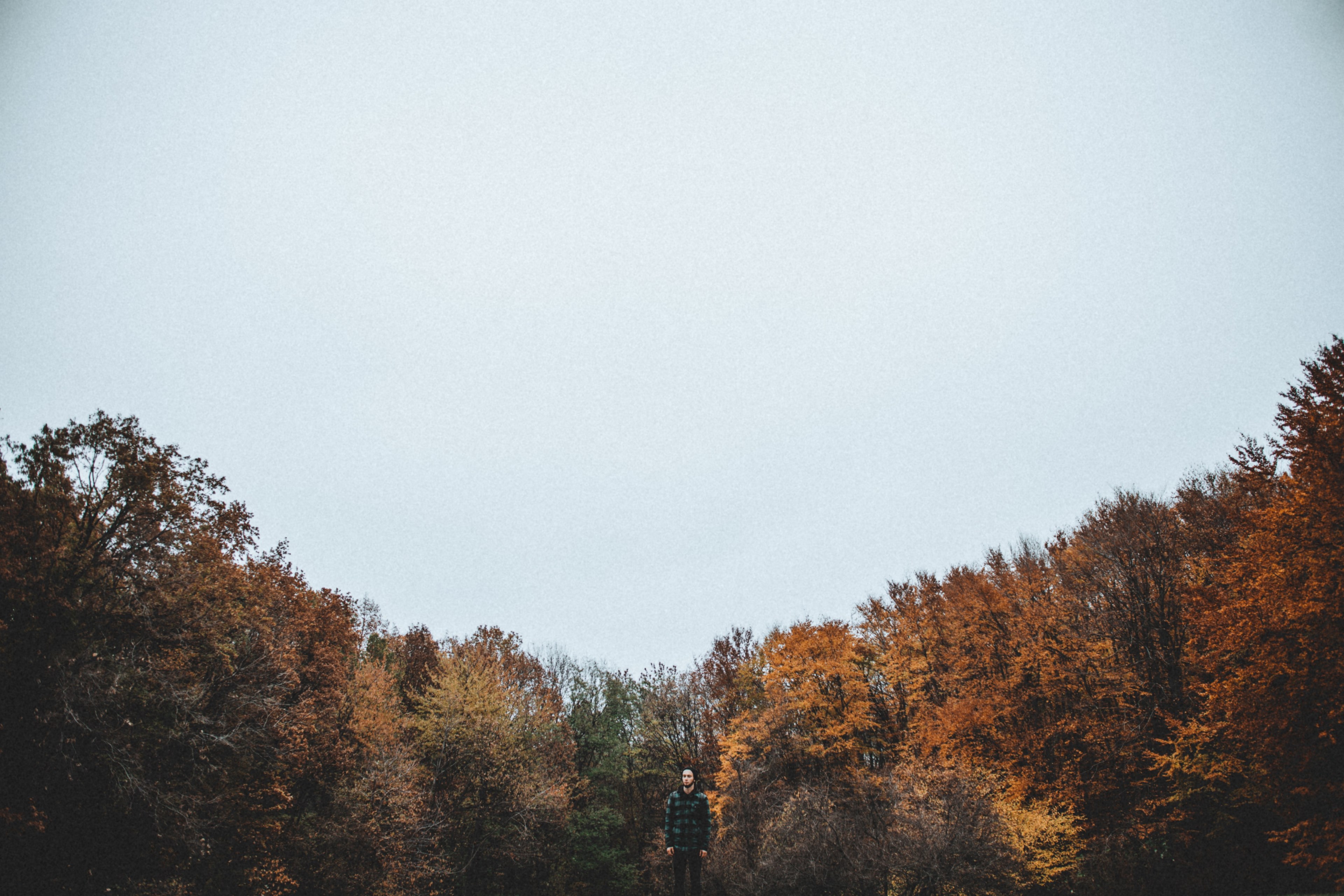 a man standing against the backdrop of autumn colored trees, man near orange trees 4k, HD Wallpaper