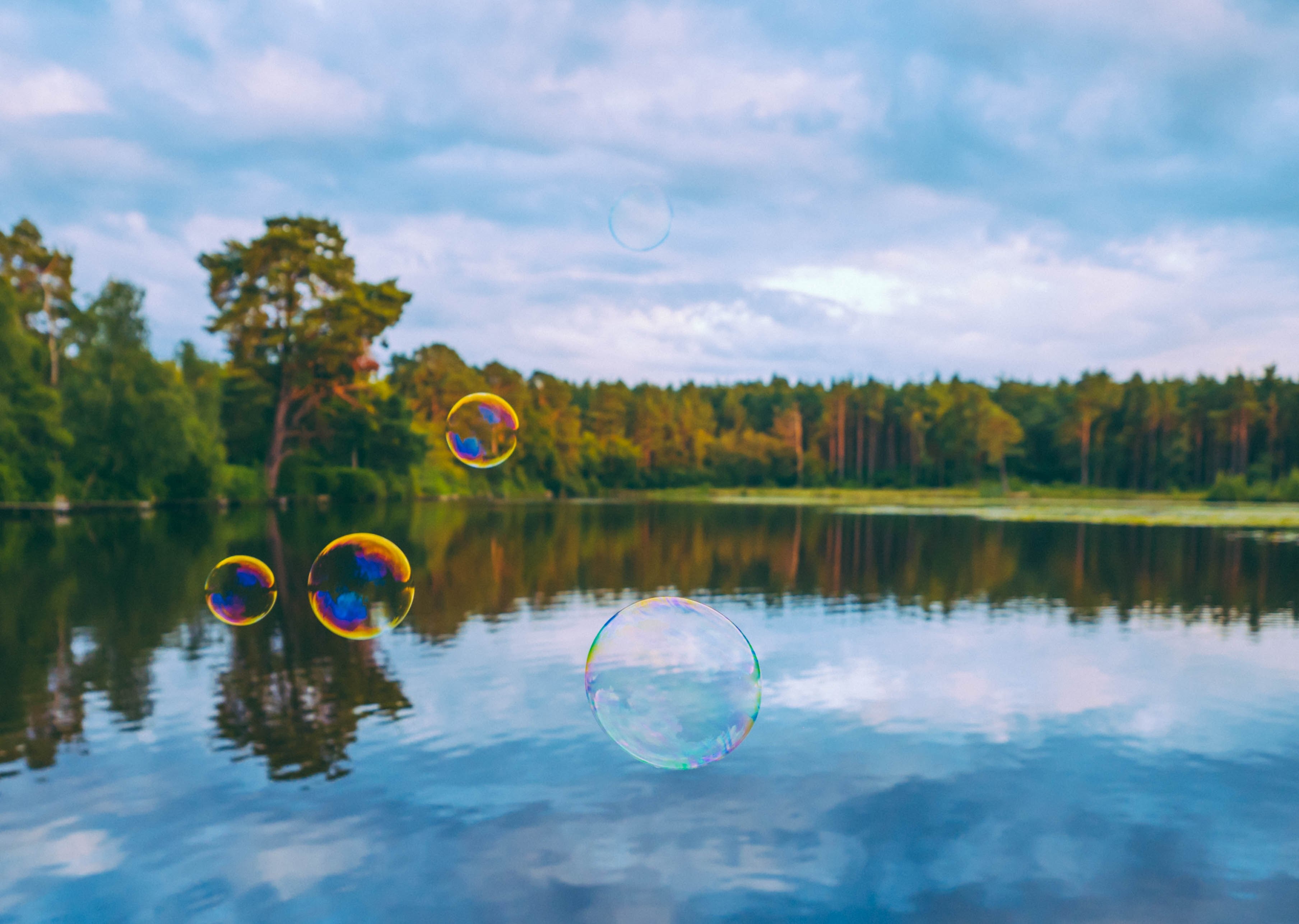 bubble floating wood and forrest 4k, HD Wallpaper