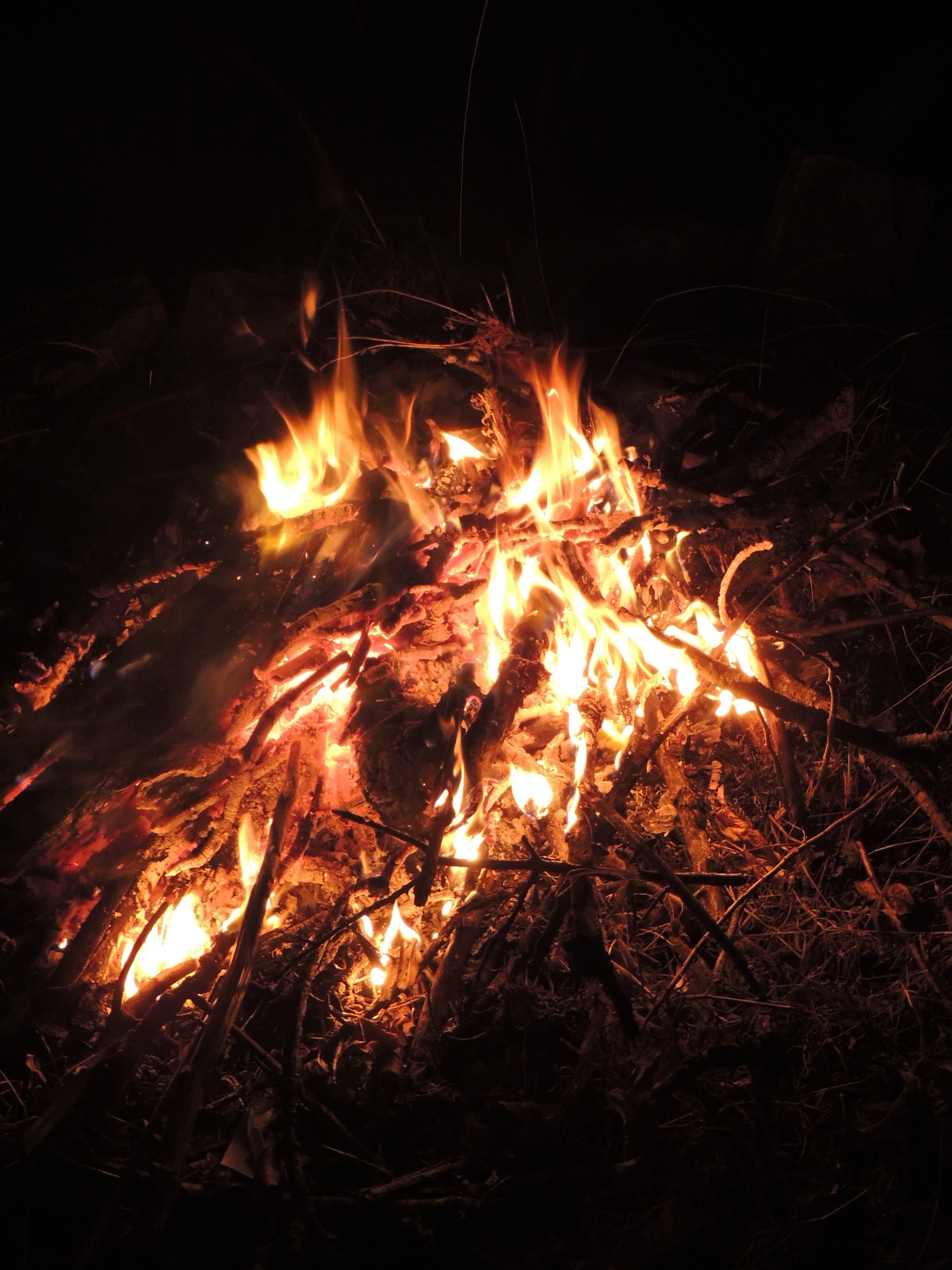camping camp campfire and burning hd, 4k, Phone HD Wallpaper