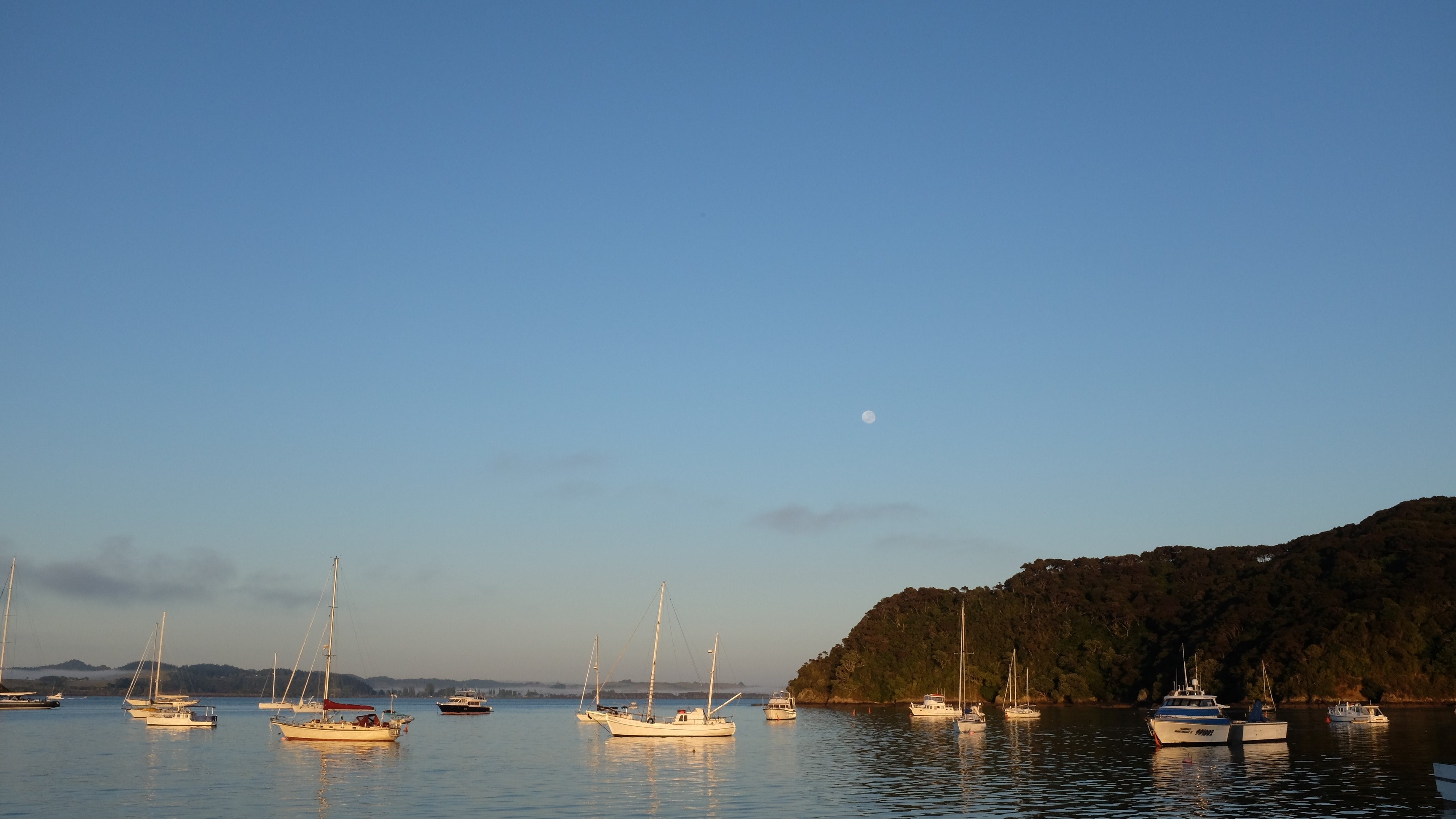sailboat sea and boat 4k, HD Wallpaper