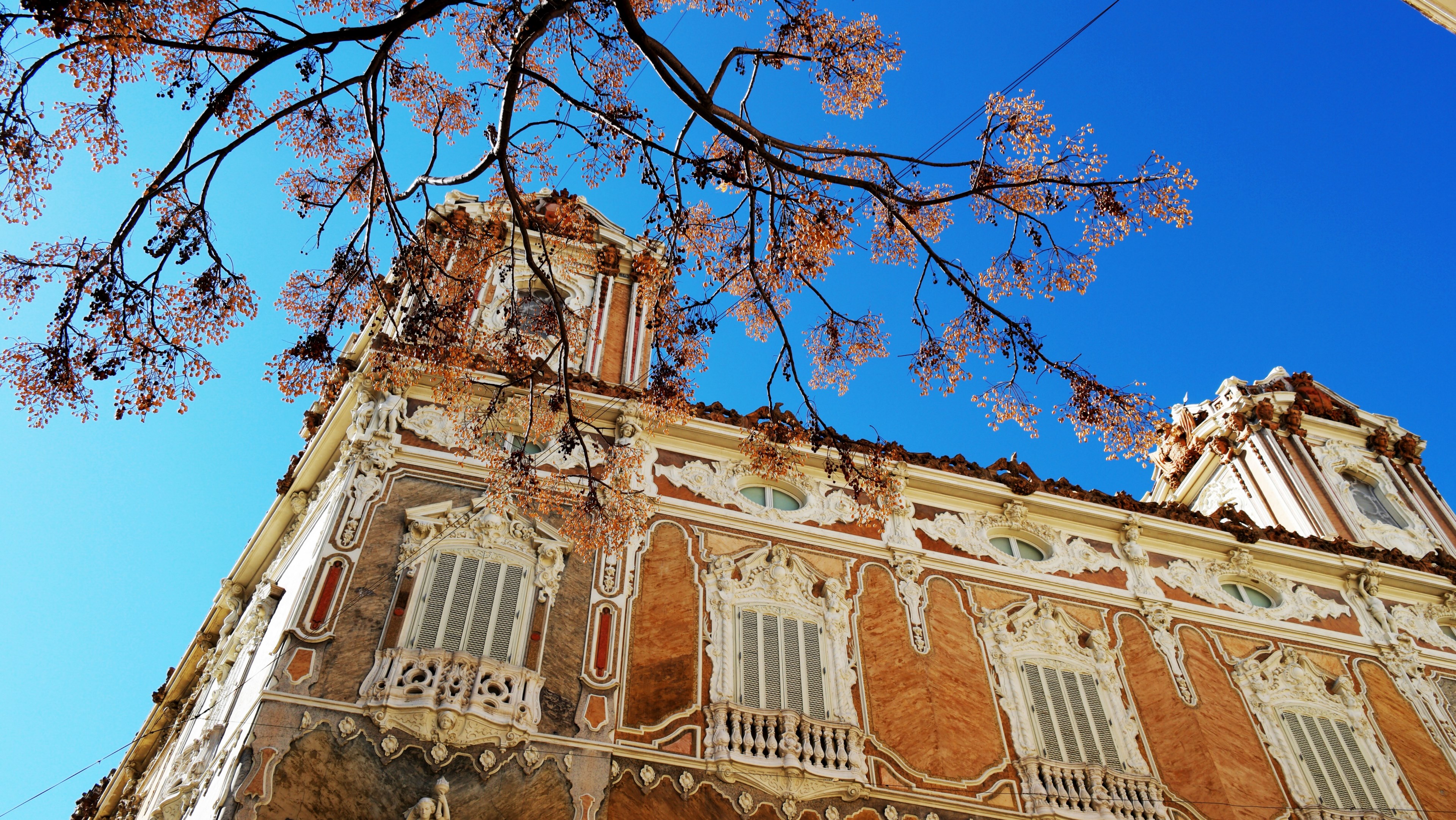 building architecture blue sky and tree 4k, HD Wallpaper