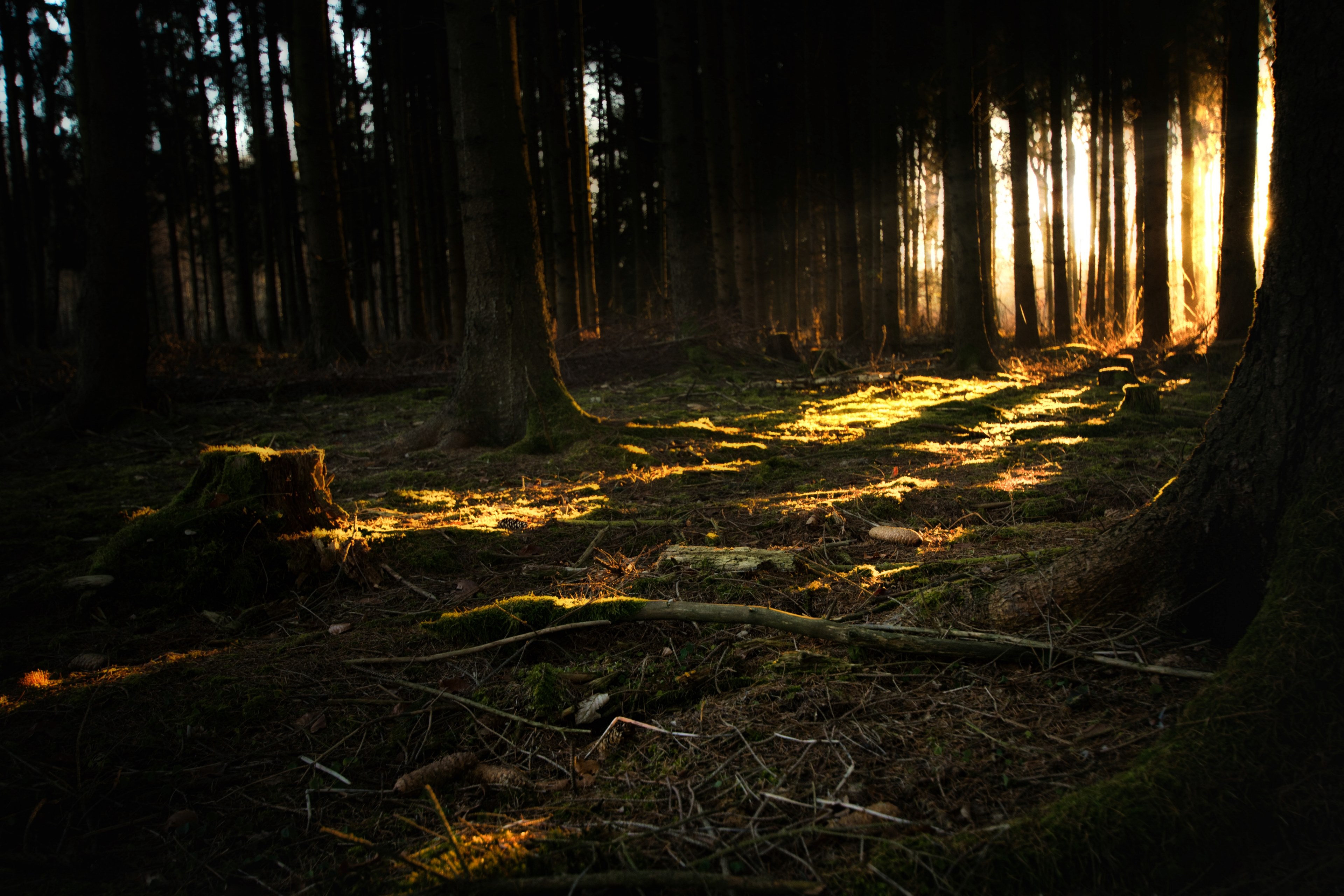 last light of the day 4k, HD Wallpaper