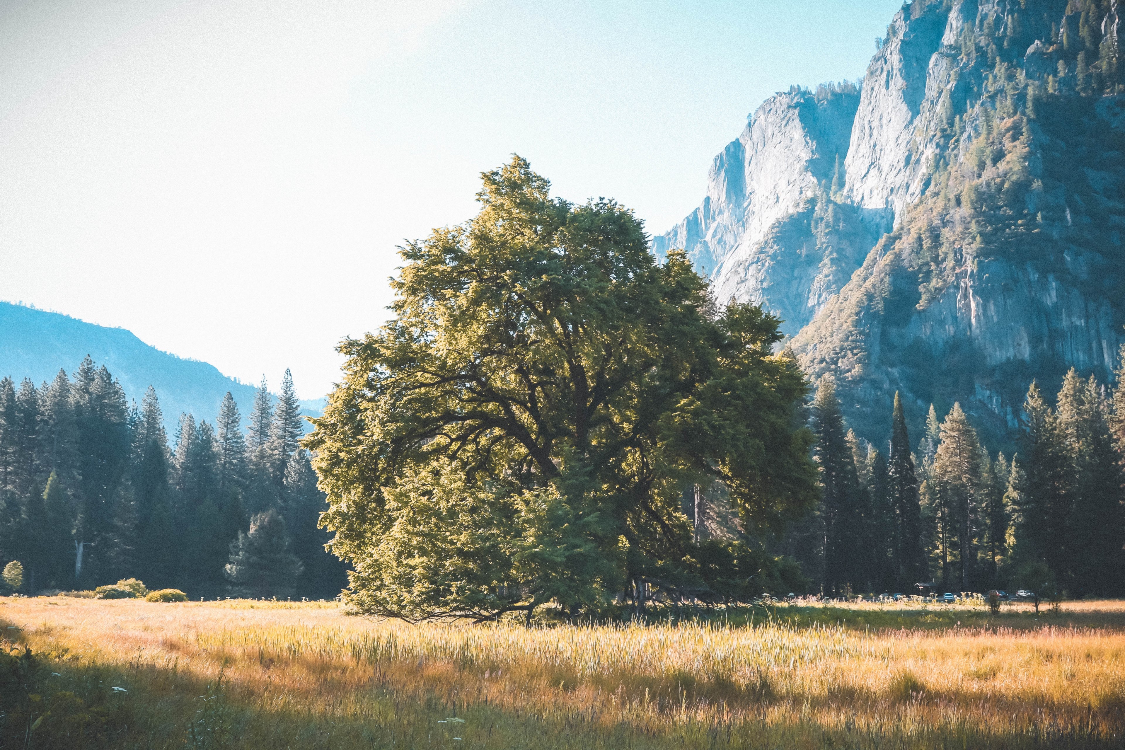 rock climbing cliff rock and yosemite valley 4k, HD Wallpaper