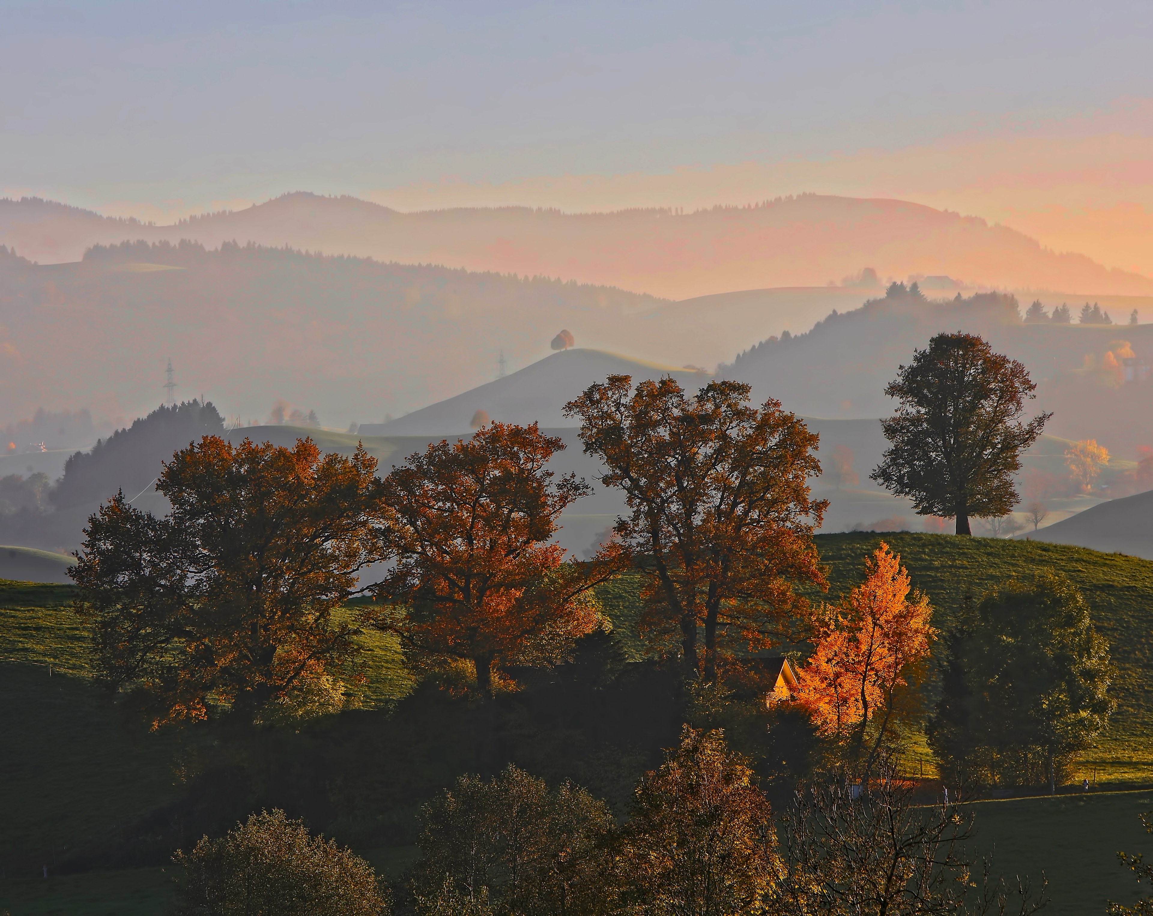 beautiful spring sunset in hirzel over a forrest hill, hirzel spring forest sunset 4k, HD Wallpaper