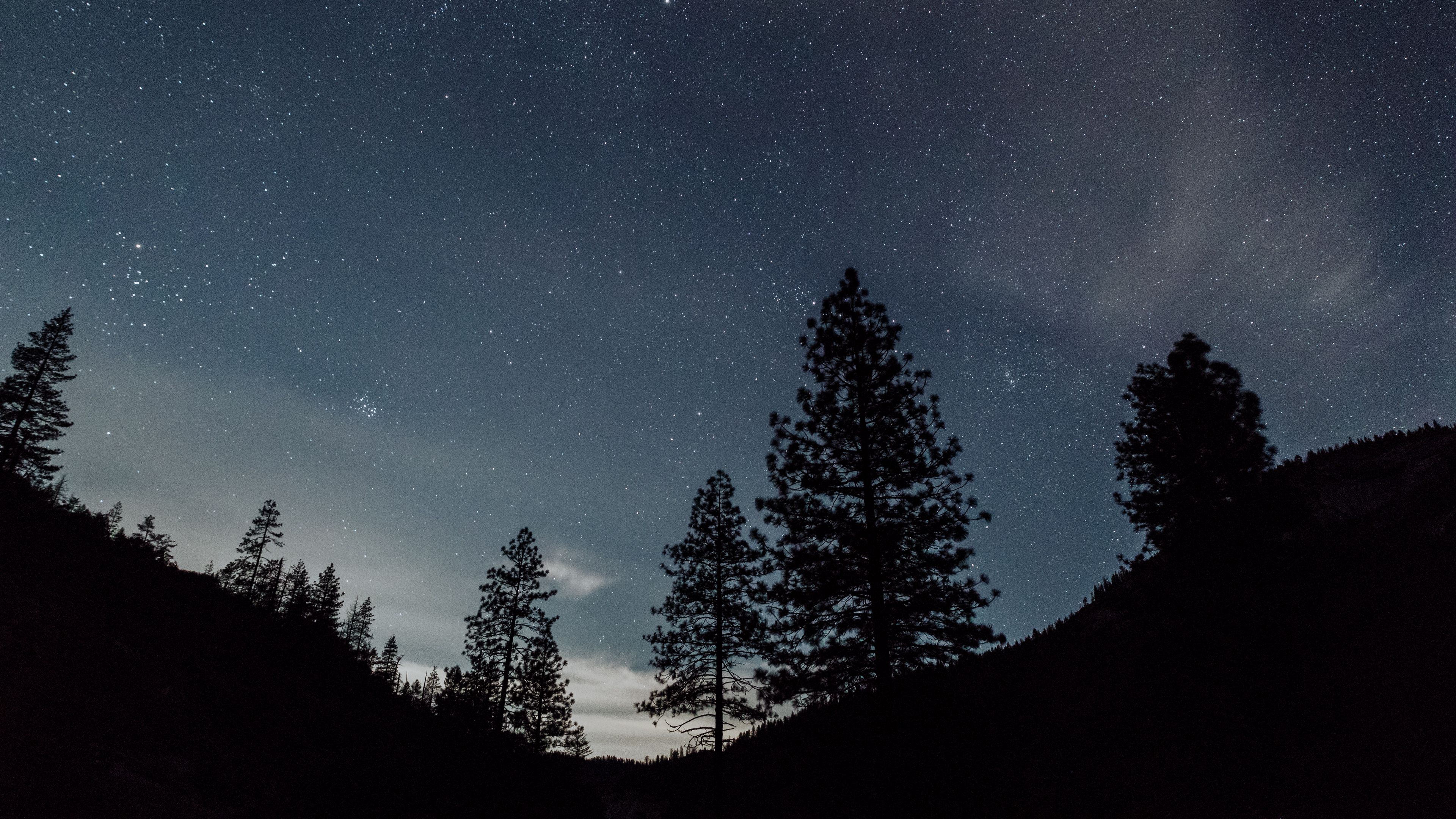starry sky, night, trees, landscape, 4k, HD Wallpaper