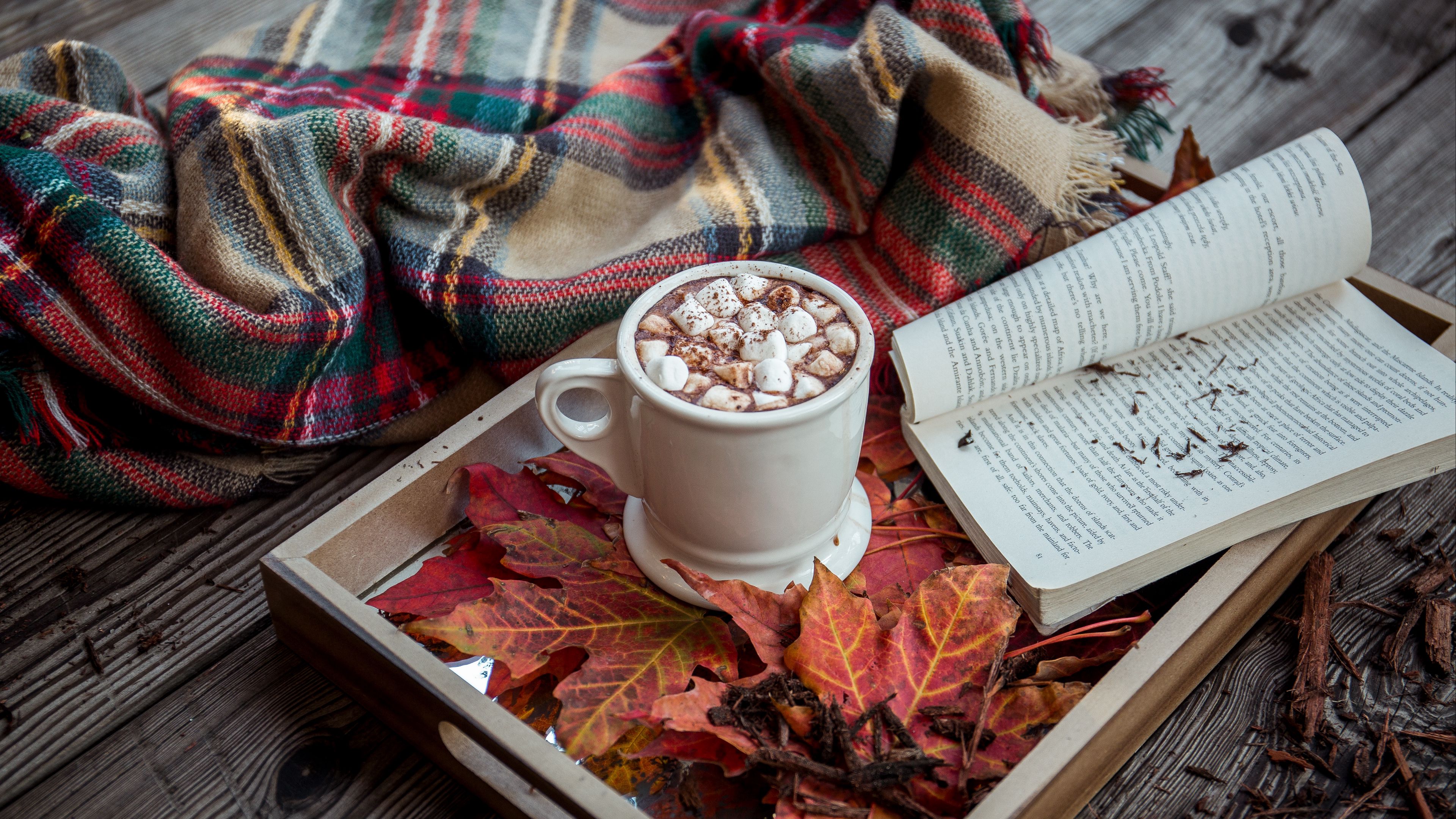 cocoa, marshmallow, plaid, book, autumn, 4k, HD Wallpaper