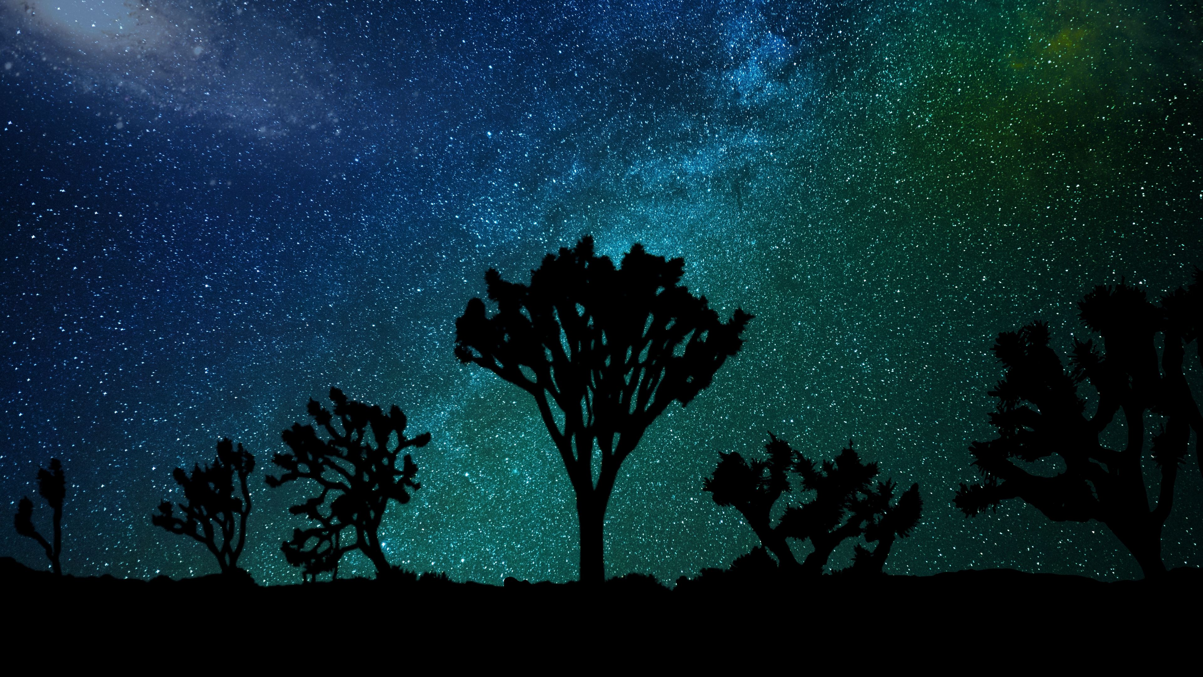 starry sky, milky way, joshua tree, 4k, HD Wallpaper