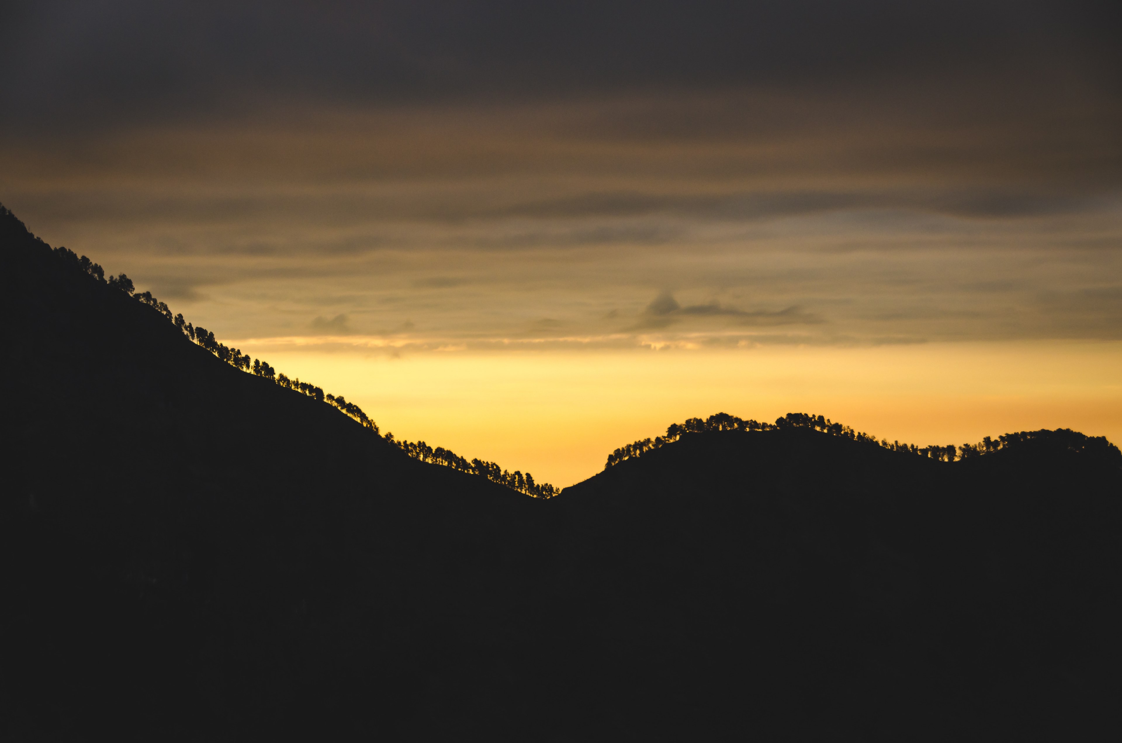 silhouette tree topped ridge from mount rinjani with a yellow sky that becomes cloudy and gray, silhouette ridge and yellow sky 4k, HD Wallpaper