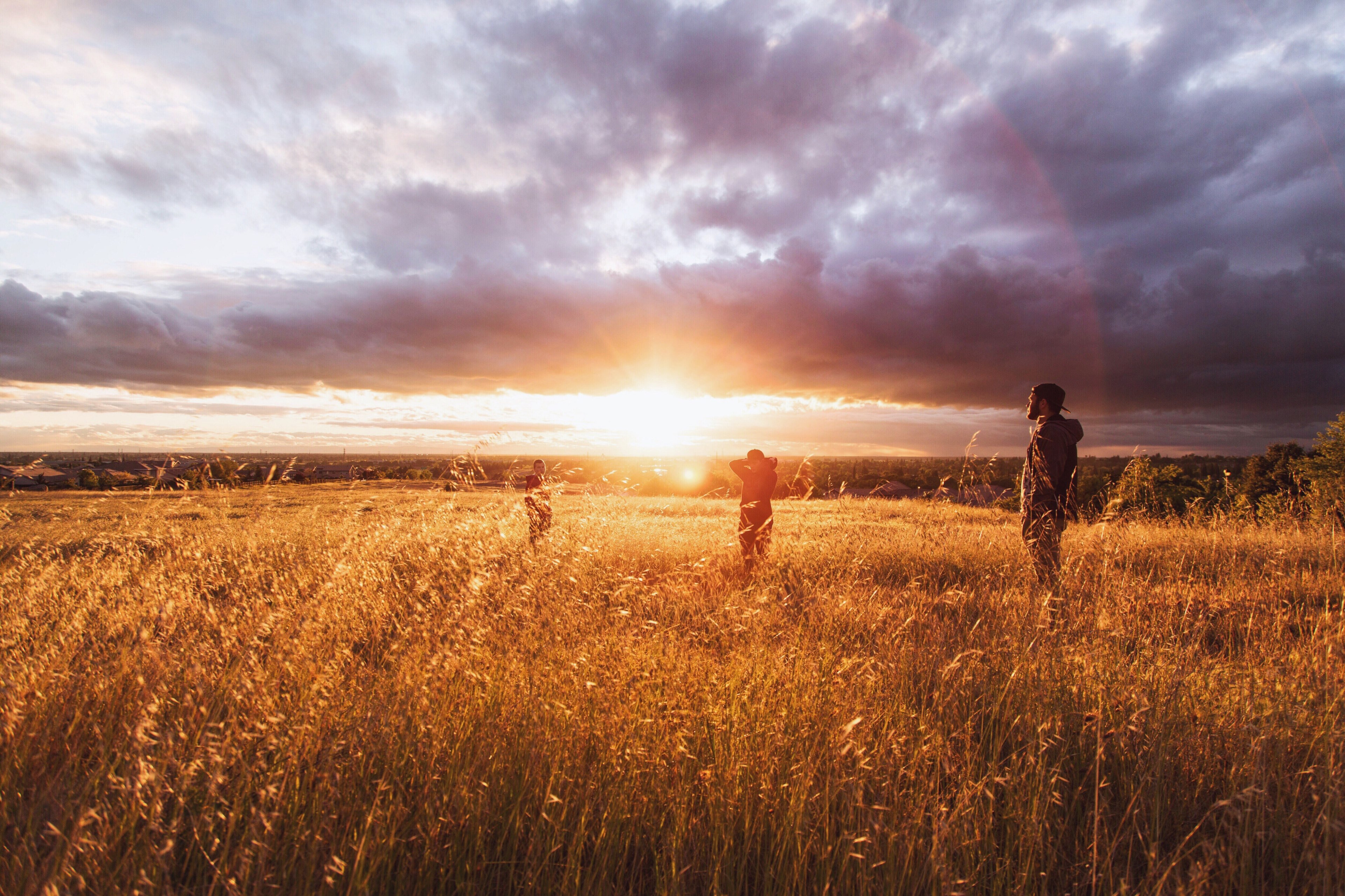 three silhouettes standing in a golden field during sunset, silhouettes in the field at dusk 4k, HD Wallpaper