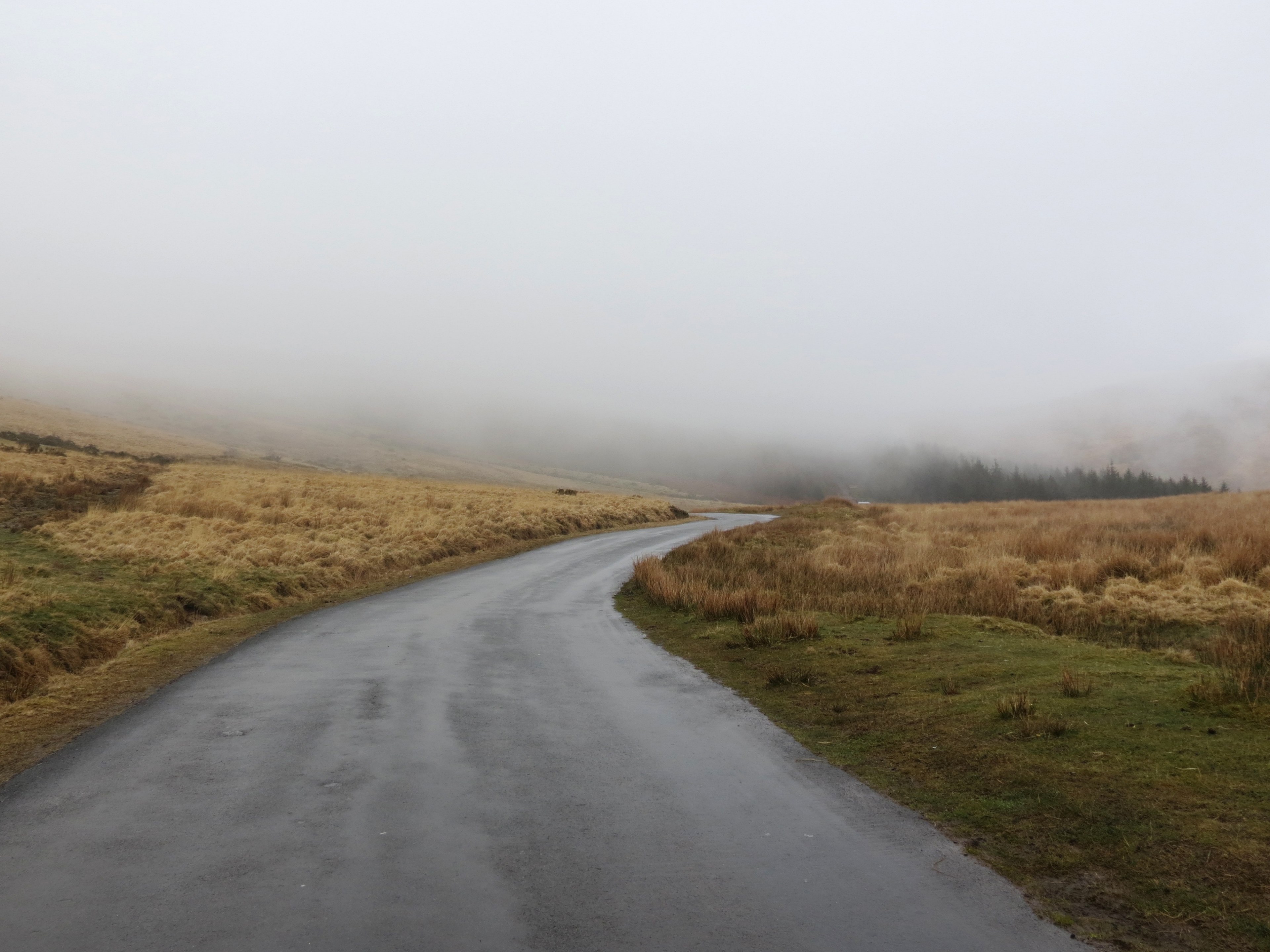 rural road in brecon near foggy fields, rural country roads 4k, HD Wallpaper