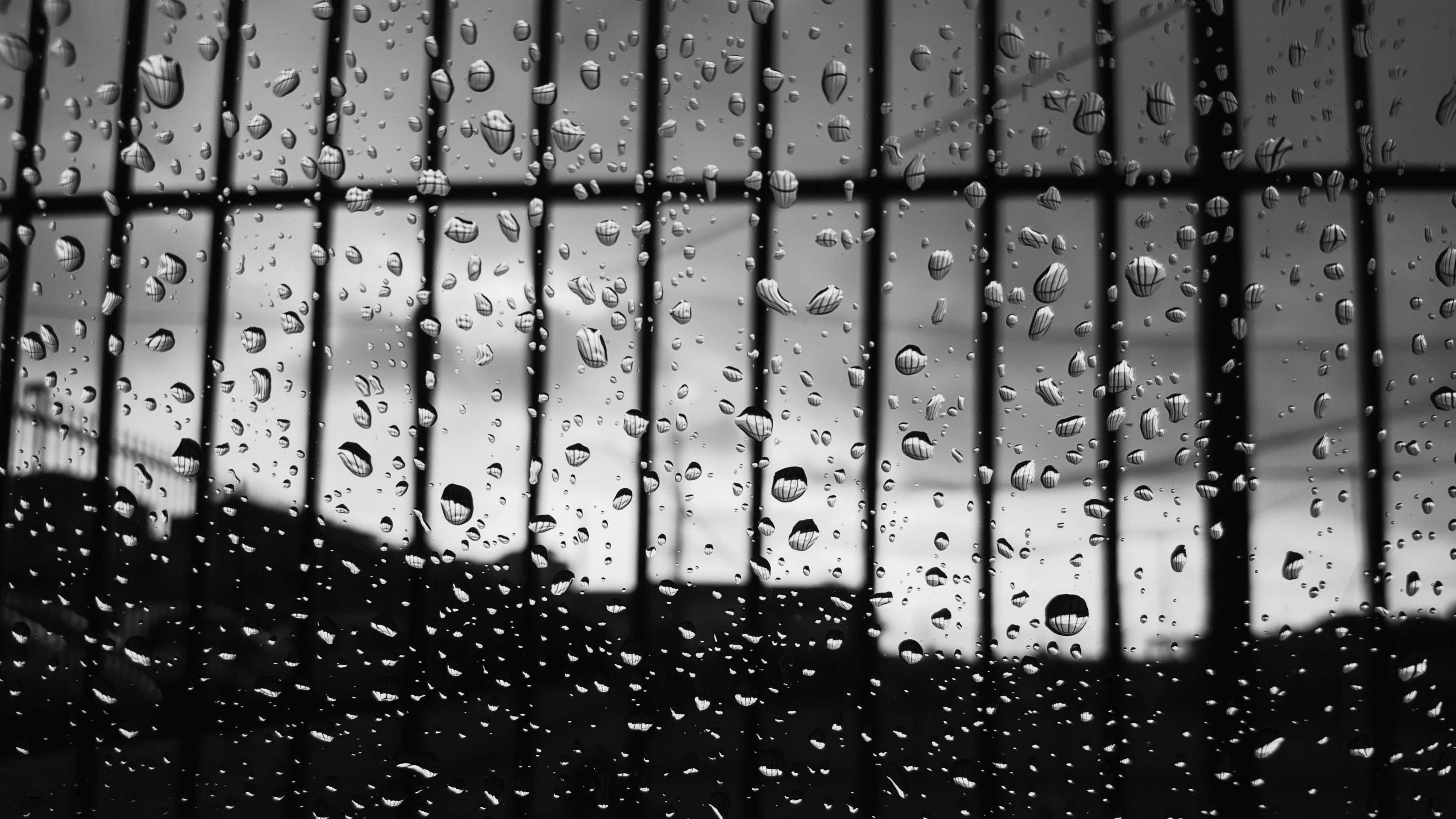 drops, glass, surface, bw, 4k, HD Wallpaper