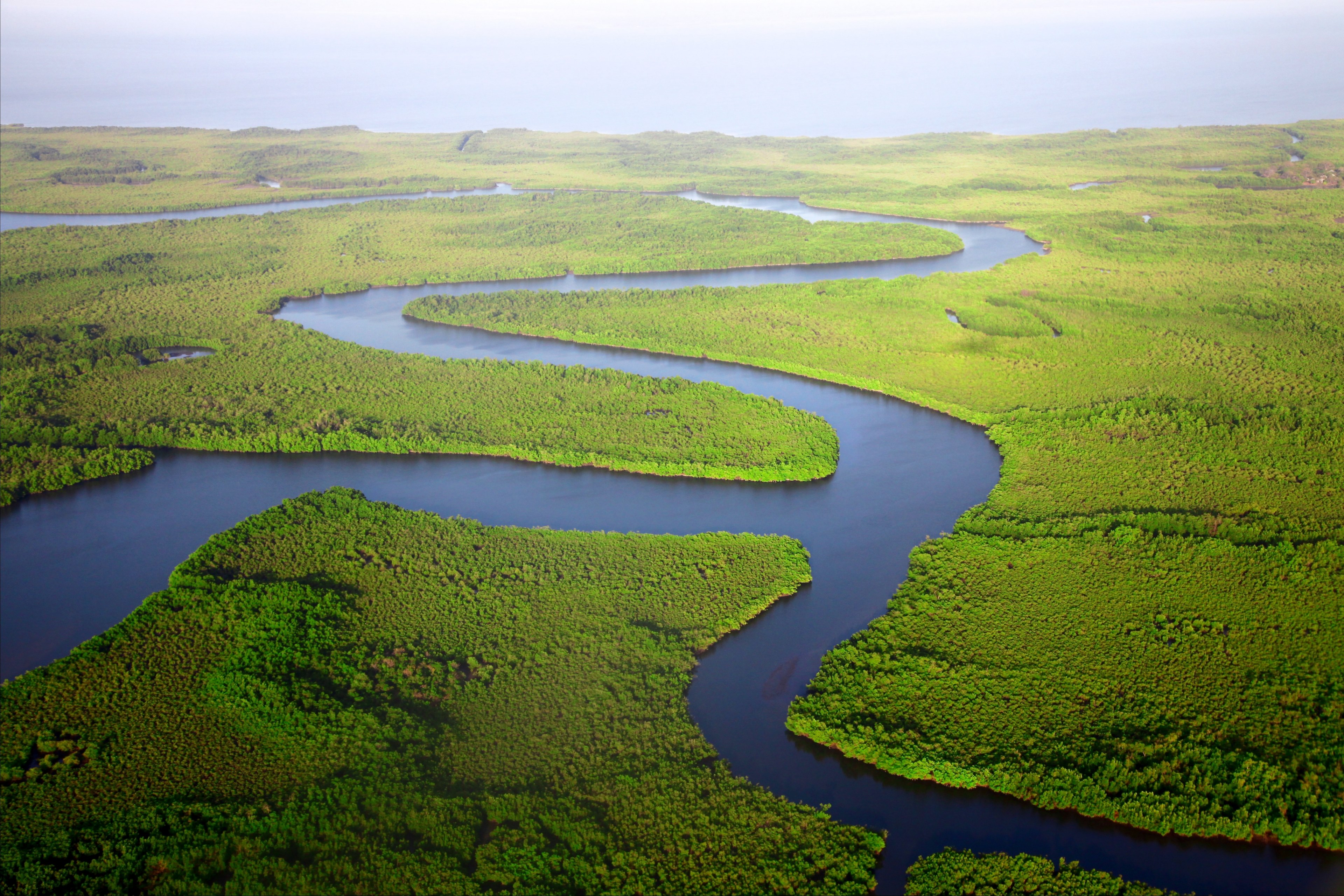 a drone shot of a meandering river surrounded by green forests in the gambia, virgin forests around a river 4k, HD Wallpaper