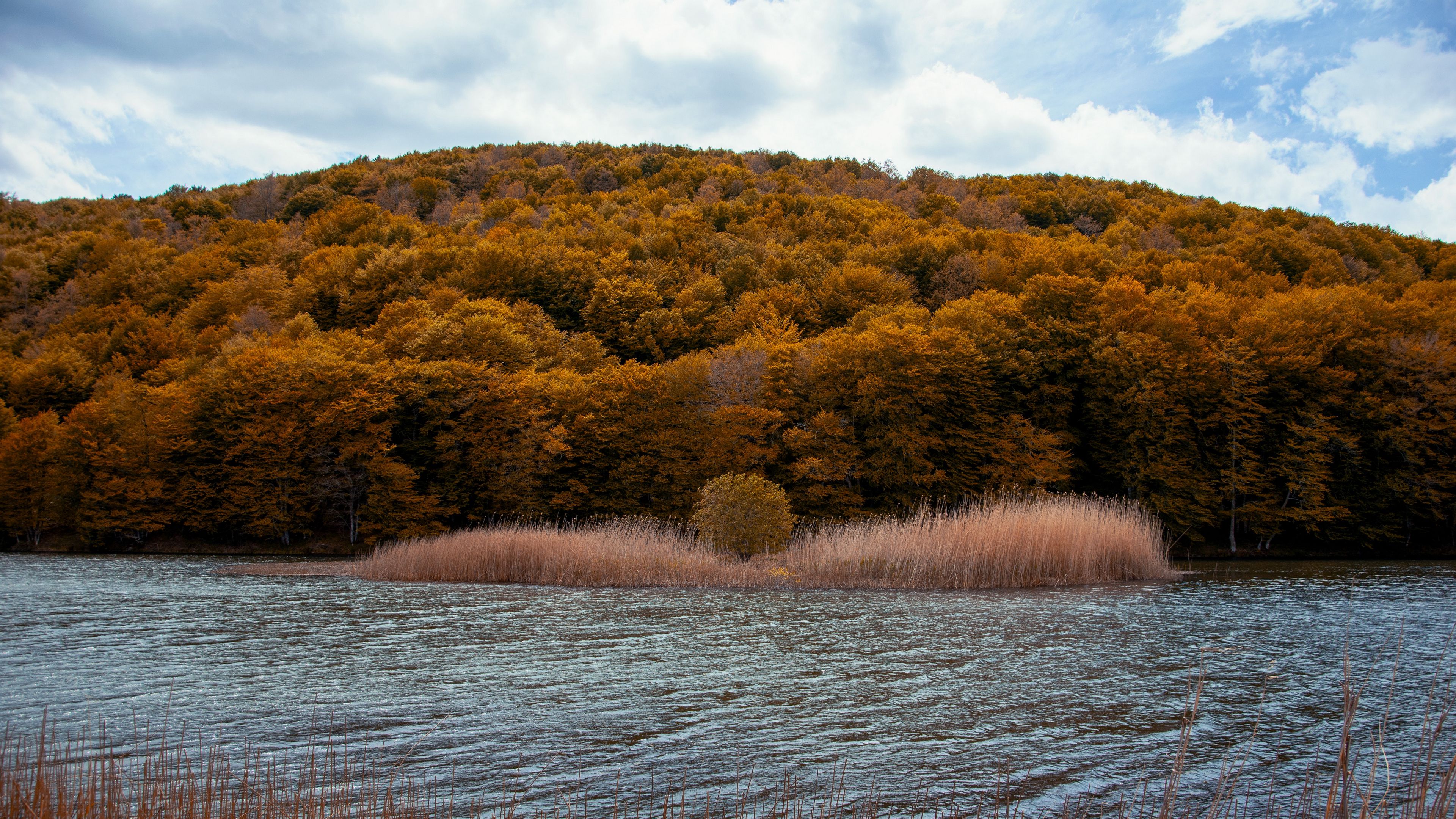 river, trees, autumn, grass, 4k, HD Wallpaper