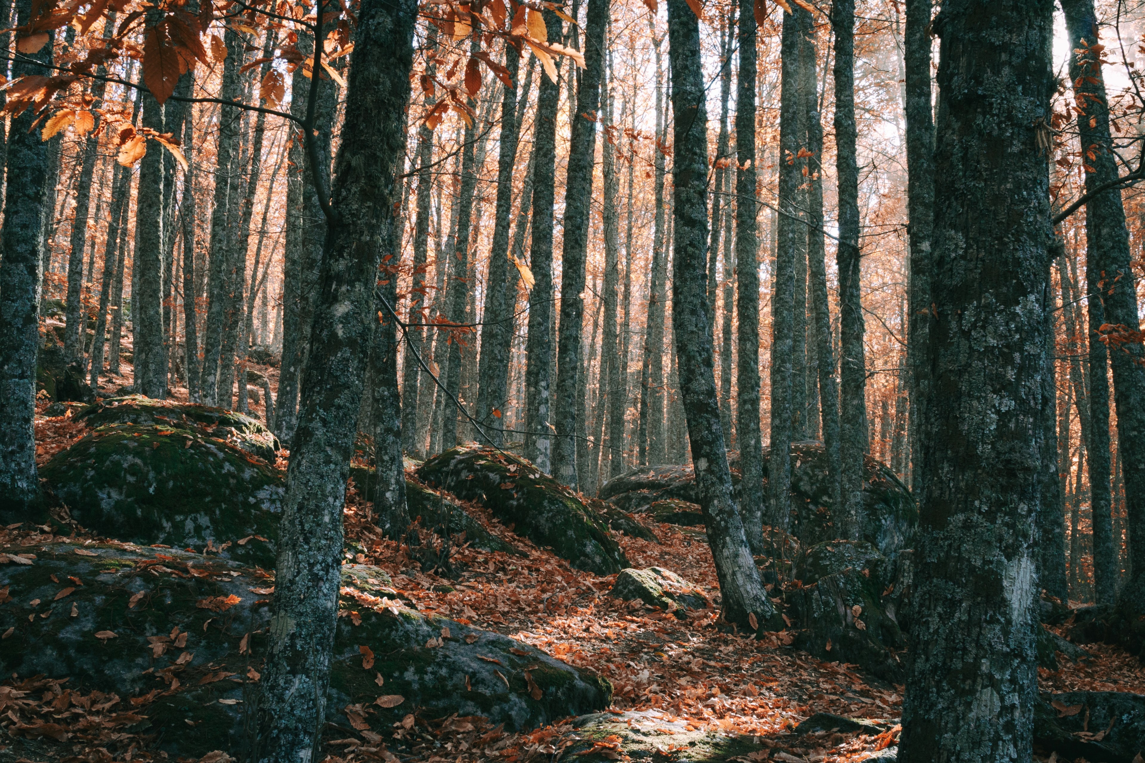 break from the city 4k, HD Wallpaper