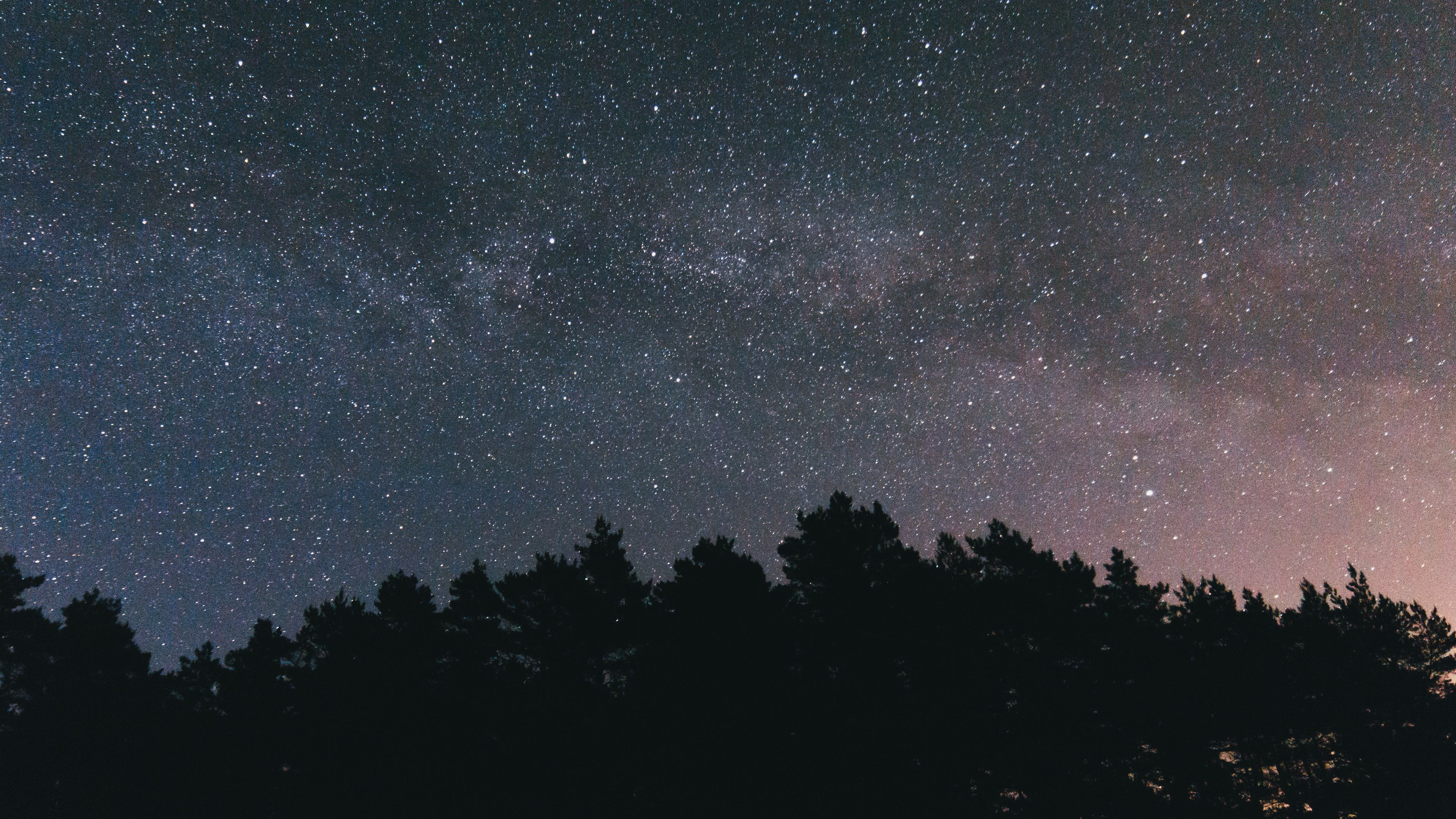starry sky, night, trees, sky, 4k, HD Wallpaper