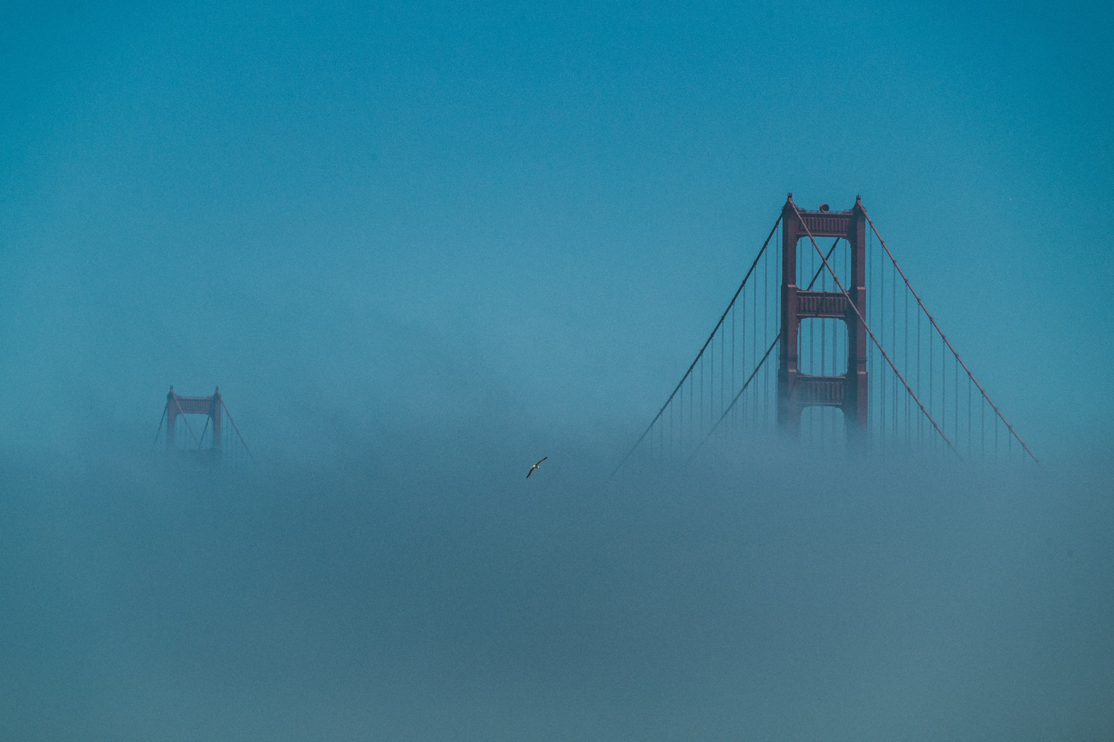 golden gate bridge peeks through blue fog, hide and seek bridge 4k, HD Wallpaper