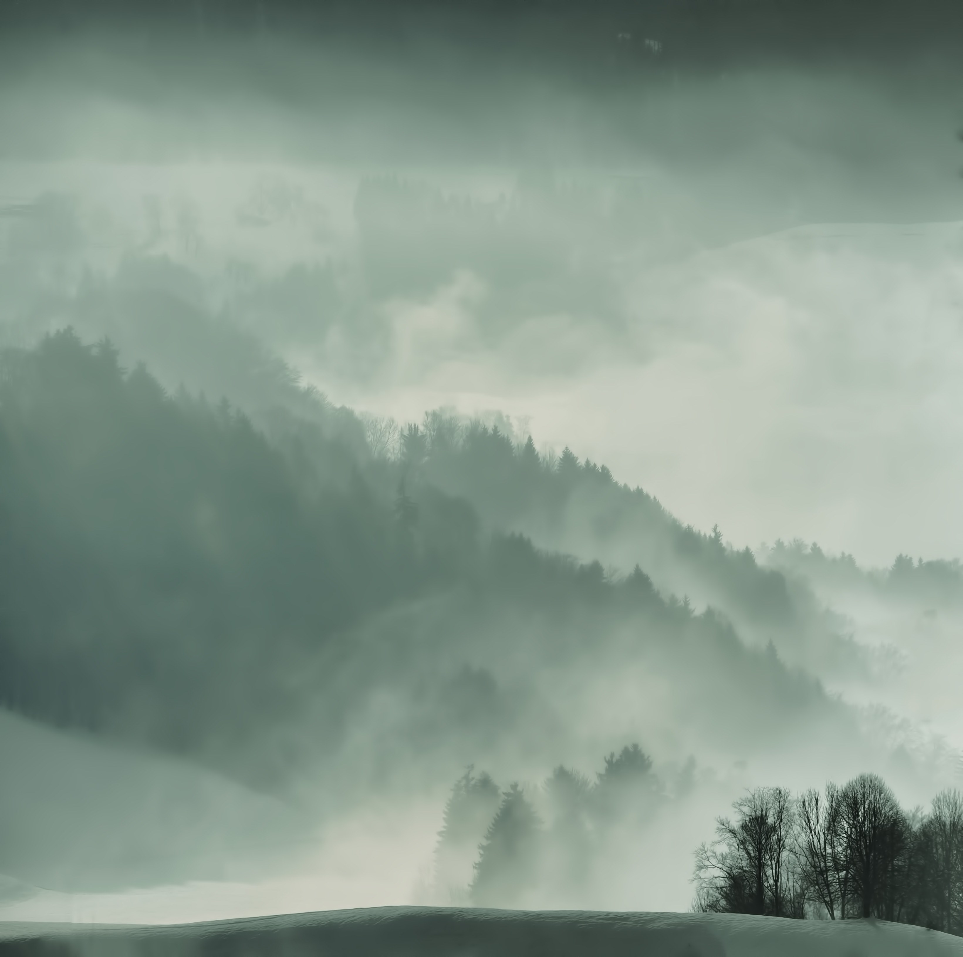 a thick mist obscuring forested hills, mysterious hills 4k, HD Wallpaper