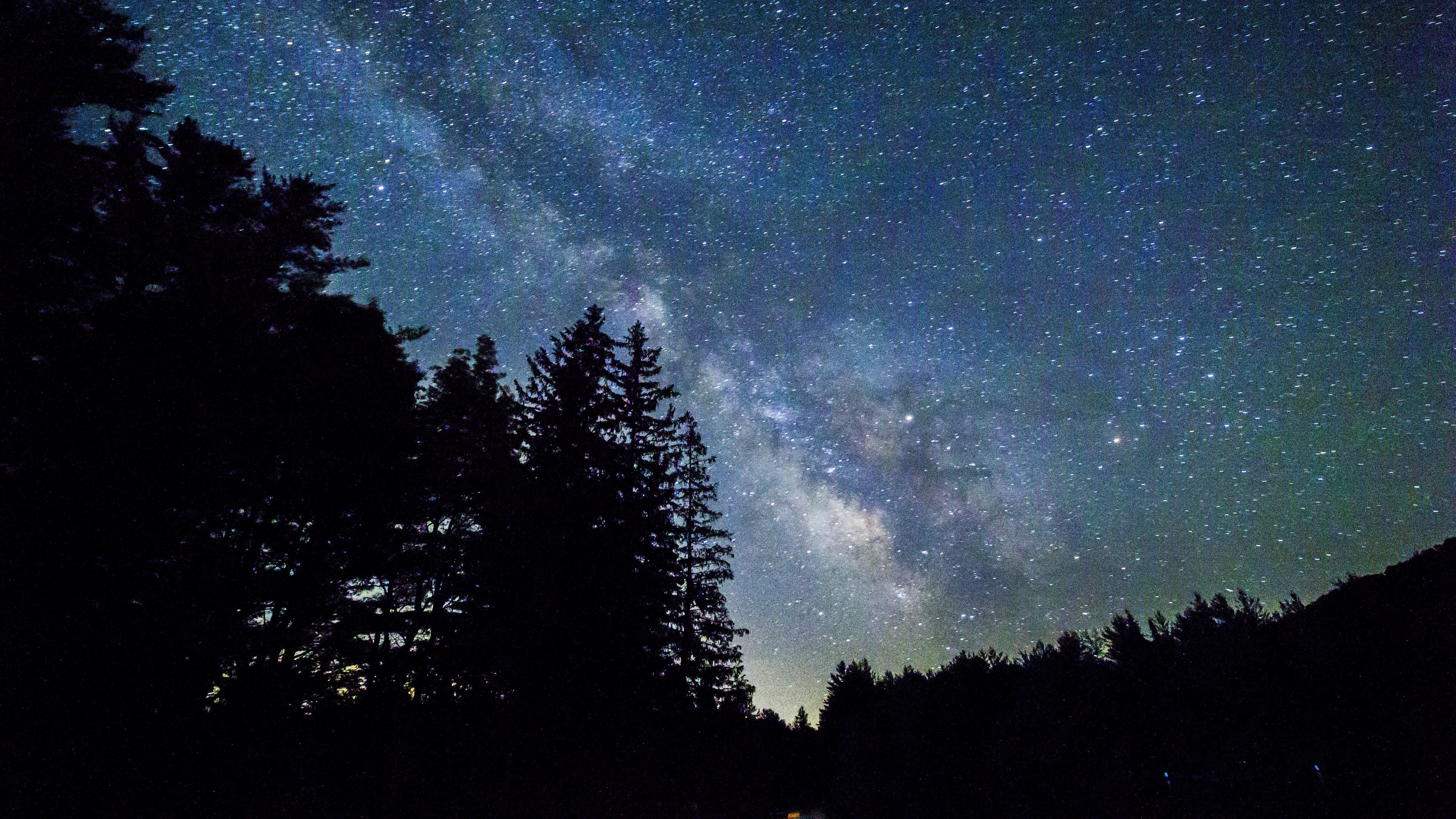 starry sky, trees, galaxy, 4k, HD Wallpaper