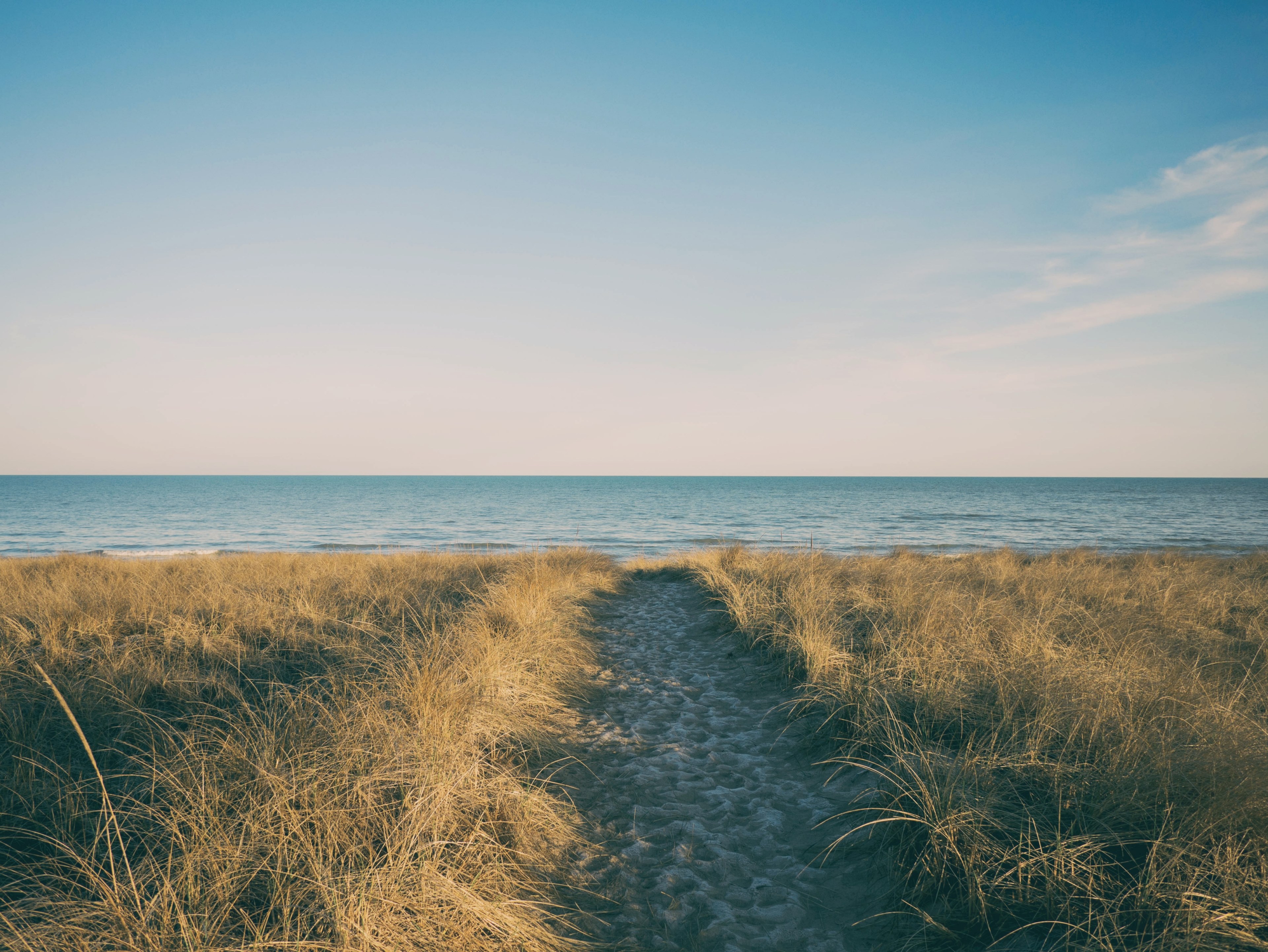 path through the grass field towards the beach shoreline at saint joseph, path through grass field 4k, HD Wallpaper