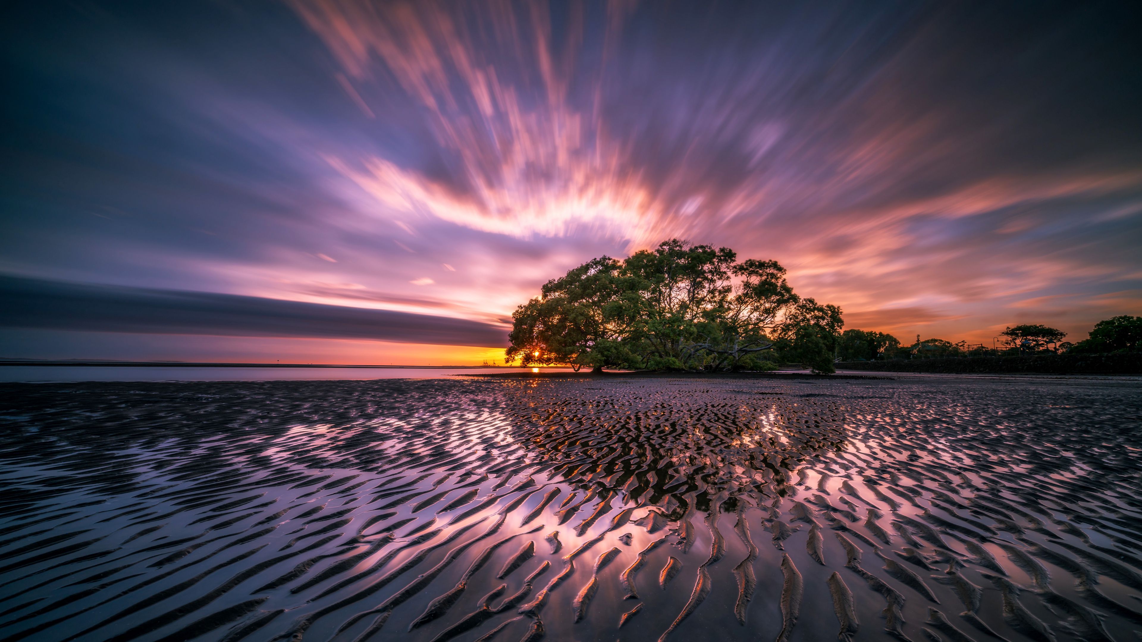 tree, sunrise, water, colorful, 4k, HD Wallpaper