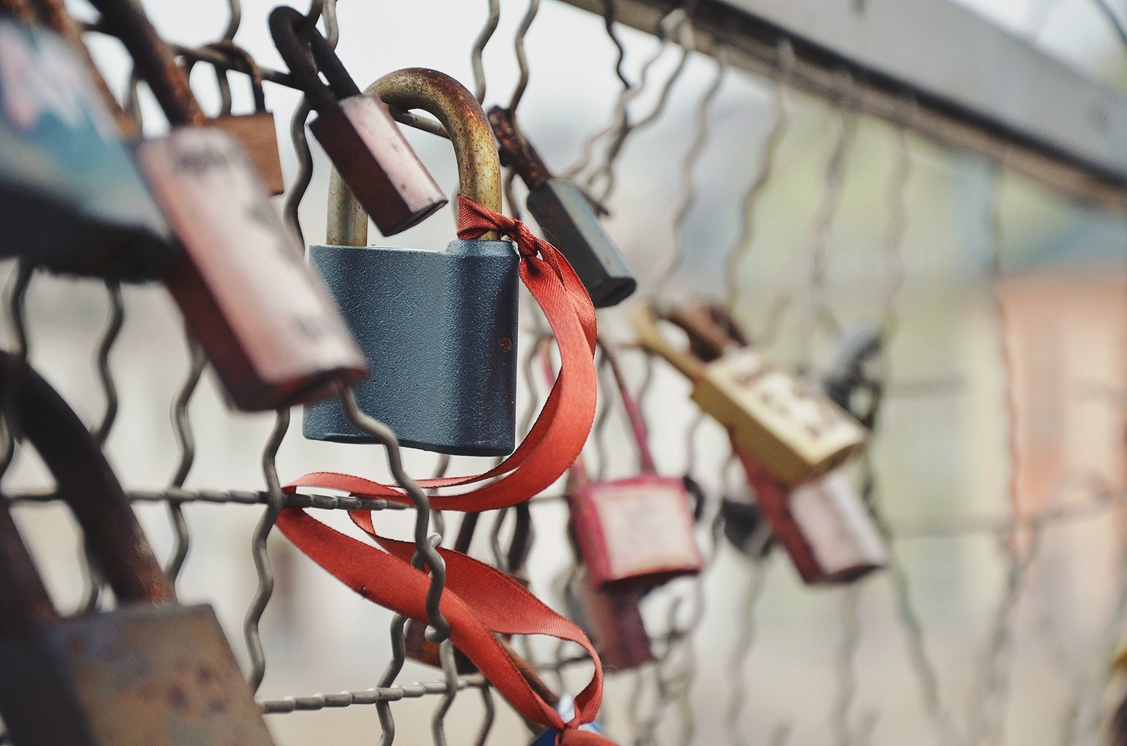 lock fence padlock and ribbon 4k, HD Wallpaper