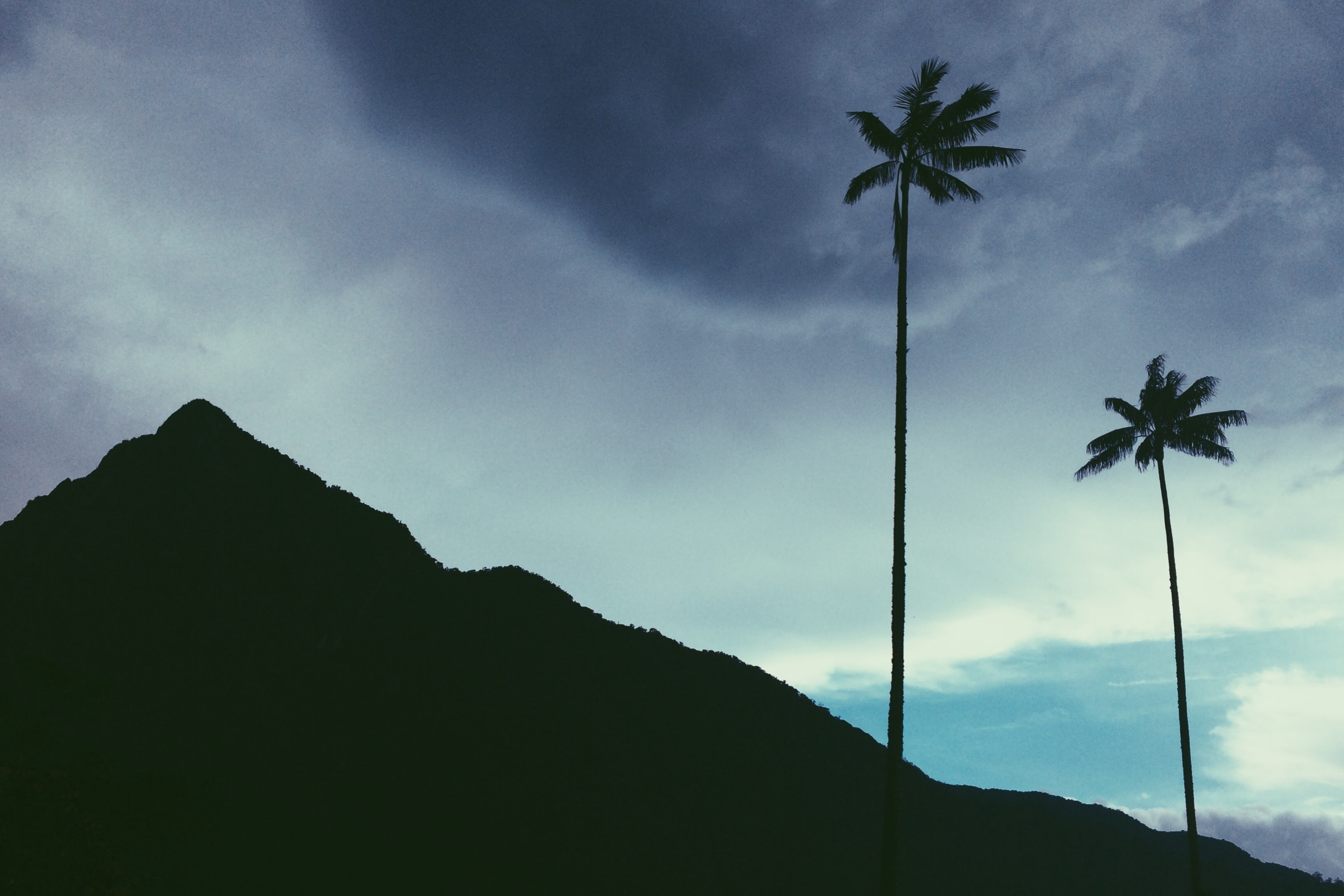 the silhouette of a mountain and palm tree against the blue sky with clouds in valle del cocora, valle del cocora silhouette 4k, HD Wallpaper