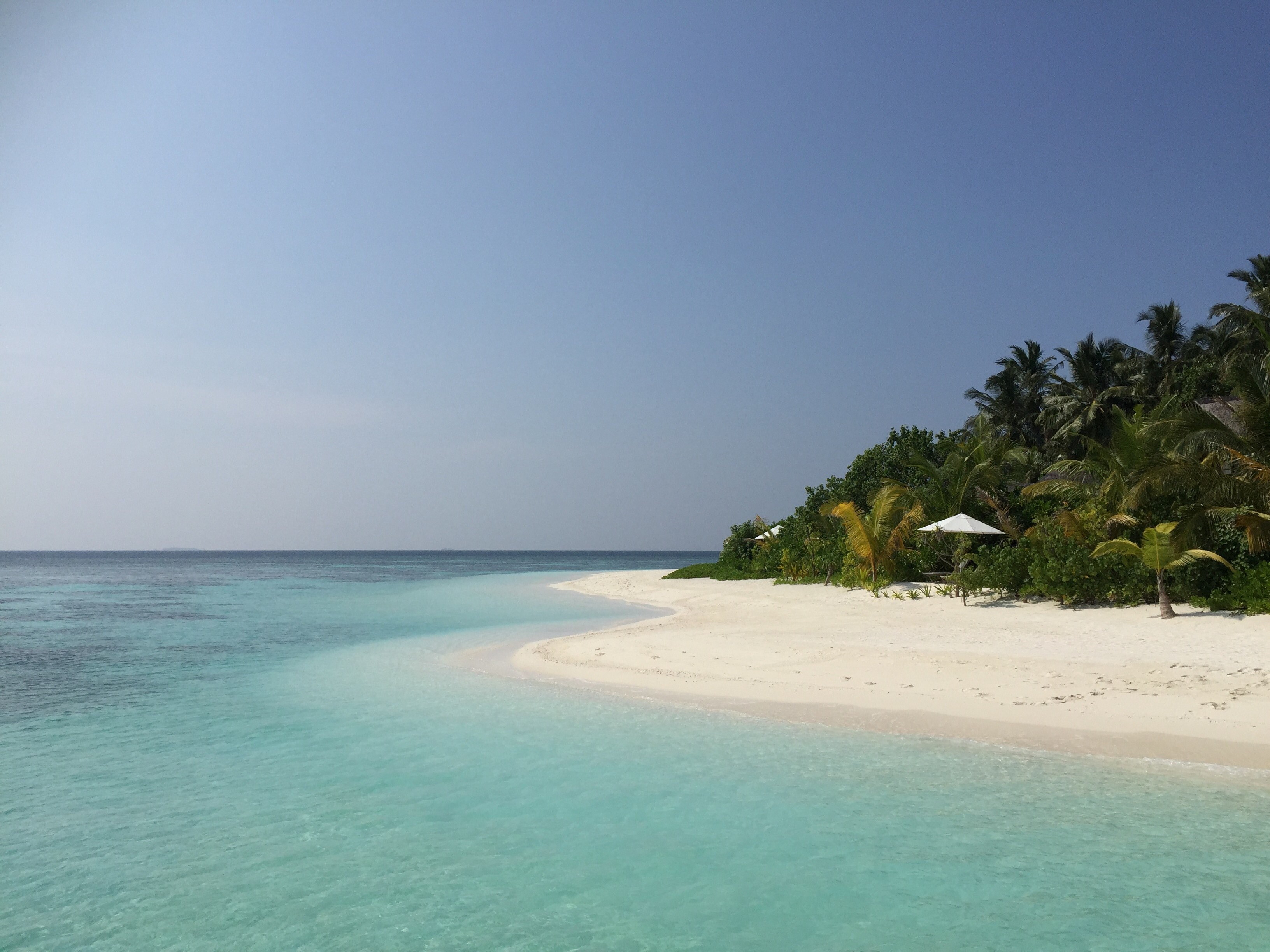 tropical sandy beach by the palm tree forest, tropical sand beach 4k, HD Wallpaper