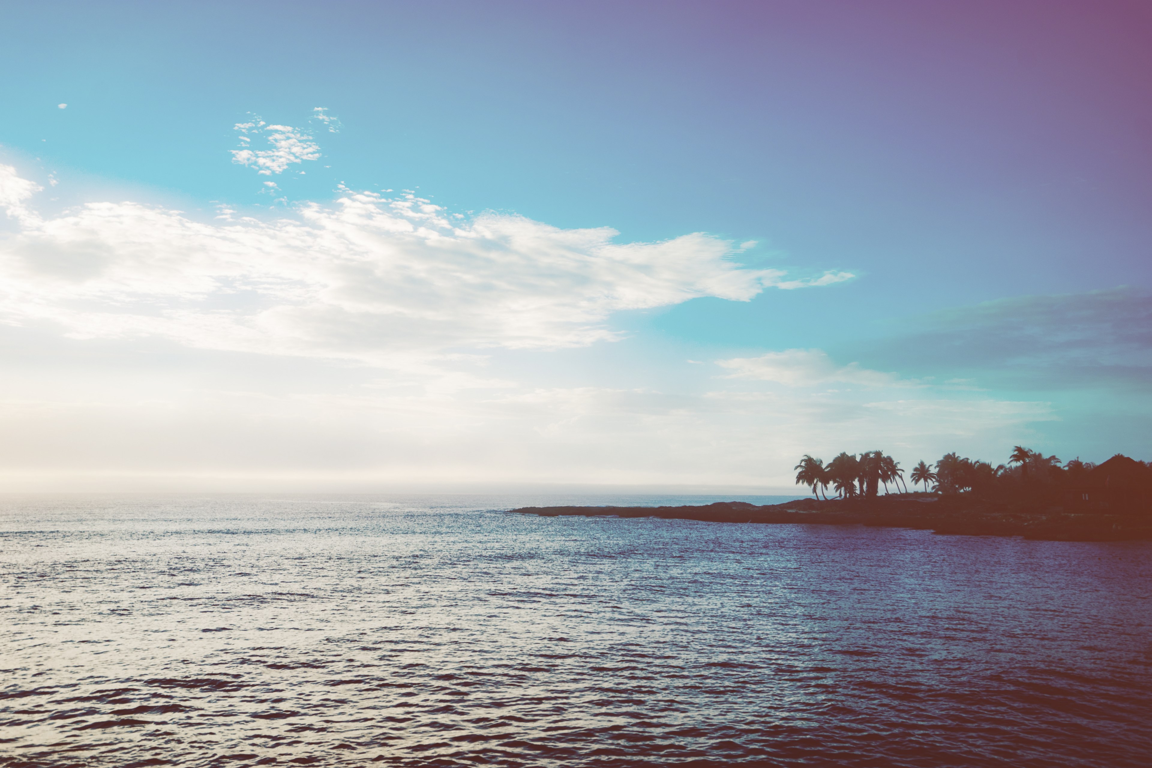 nature landscape tropical and palm tree 4k, HD Wallpaper