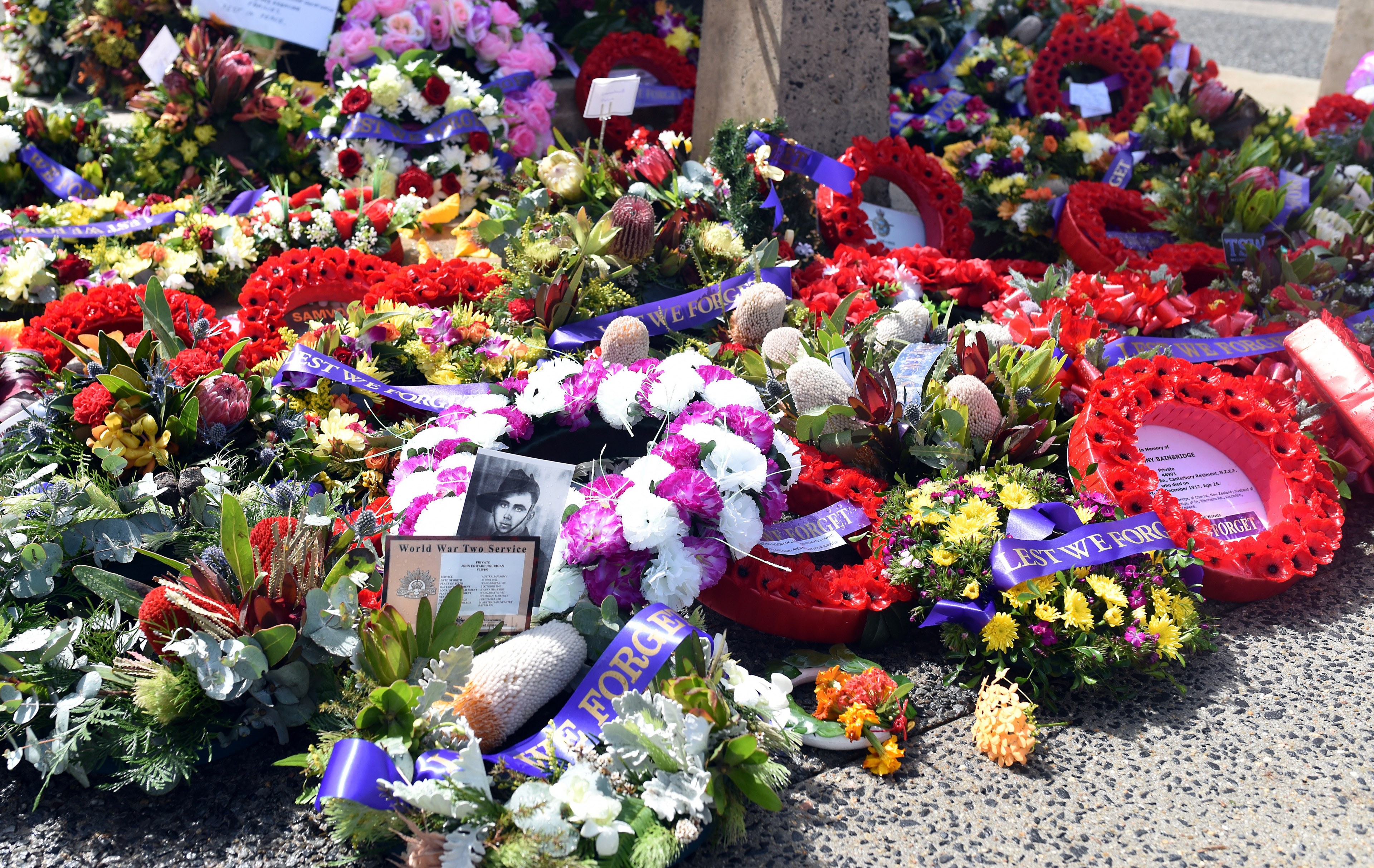 anzac war memorial flowers 4k, HD Wallpaper