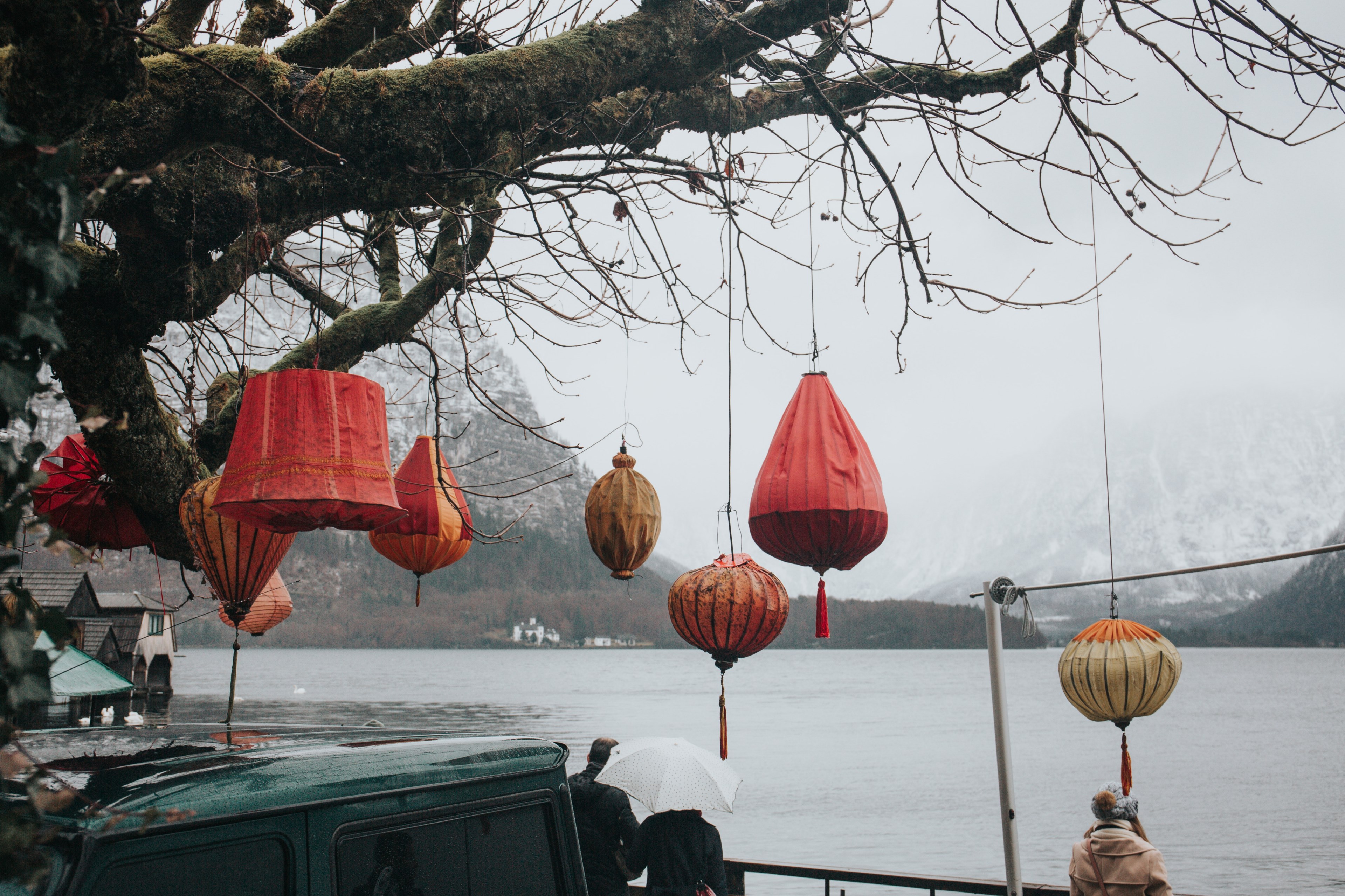 colorful red paper lamps hang from a tree overlooking the water and a winter landscape, paper lamps hanging from a tree 4k, HD Wallpaper