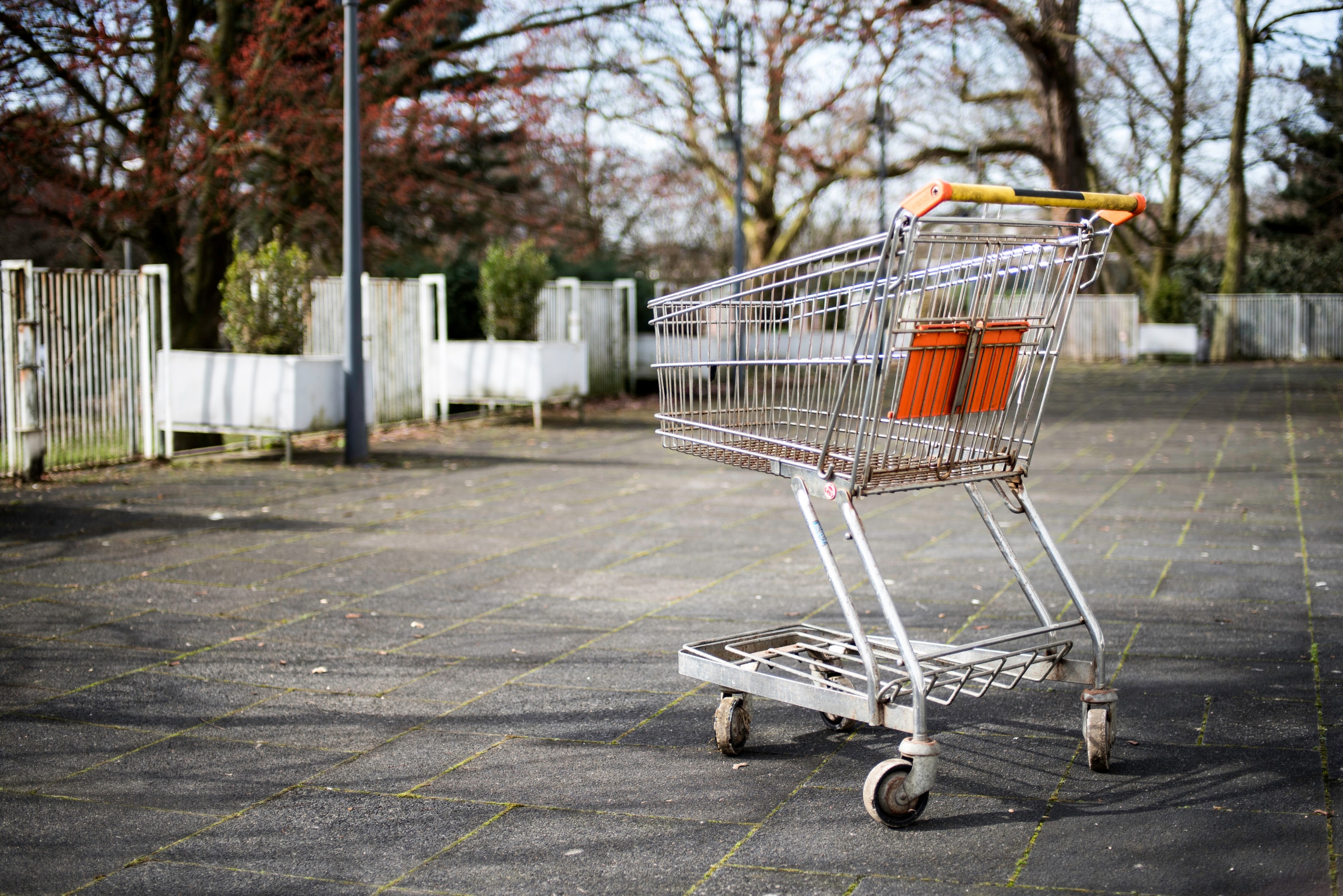 shopping cart in the middle of an abandoned parking lot with autumn trees and white fences in the background, abandoned shopping cart 4k, HD Wallpaper