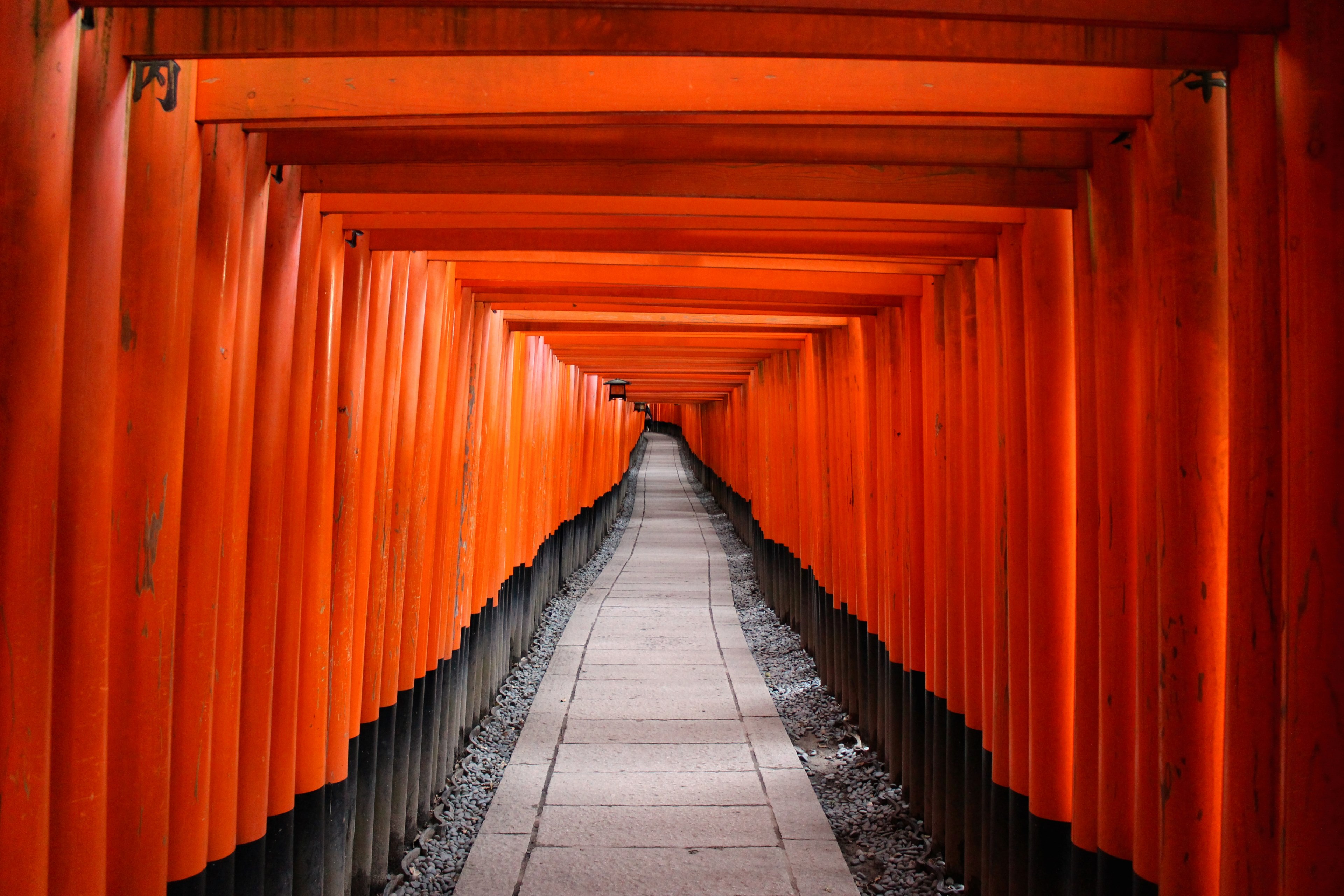 orange architecture in a hallway that leads to kyoto prefecture temple, orange hallway leading to kyoto prefecture 4k, HD Wallpaper