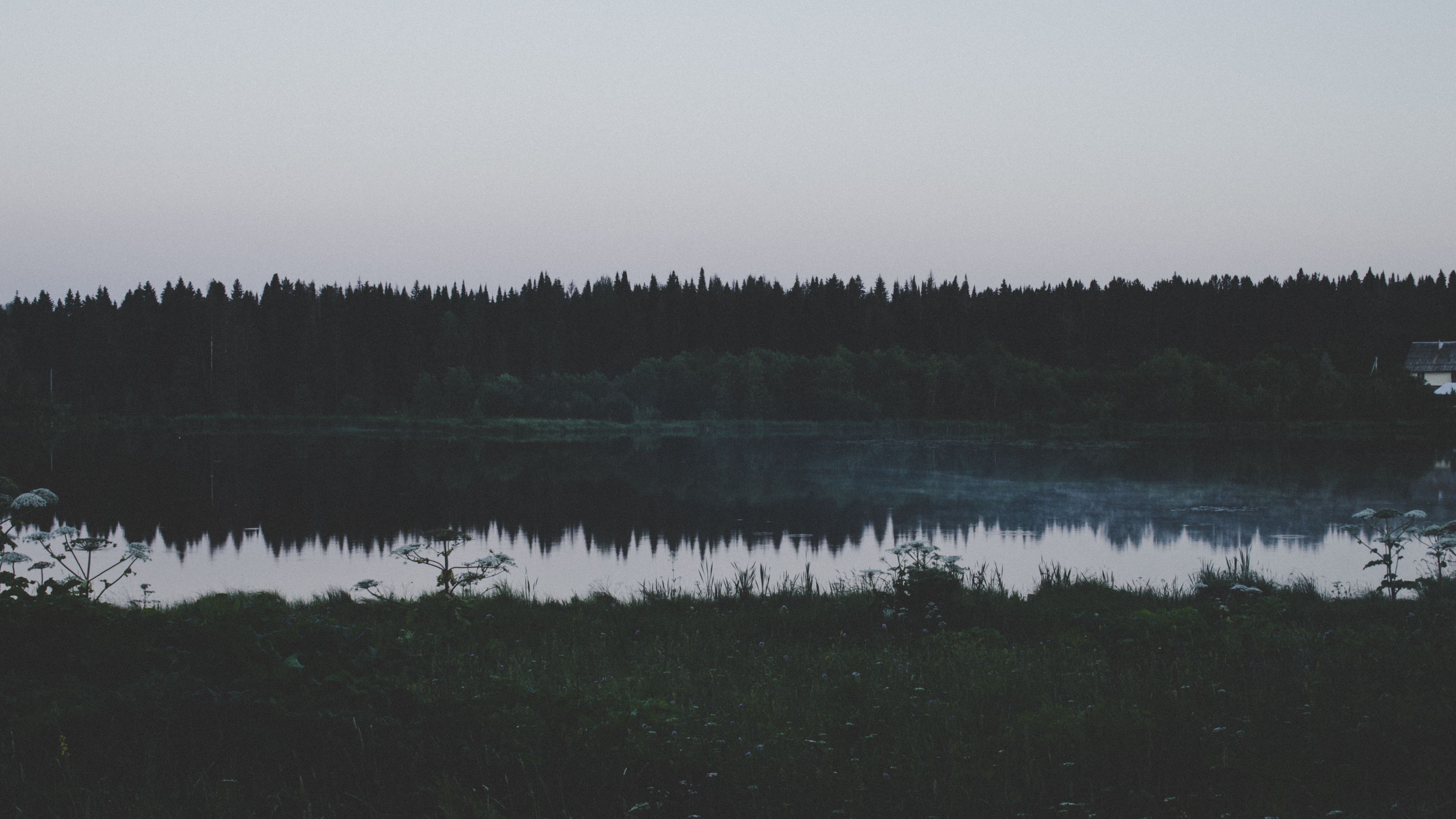 river, field, grass, trees, evening, 4k, HD Wallpaper