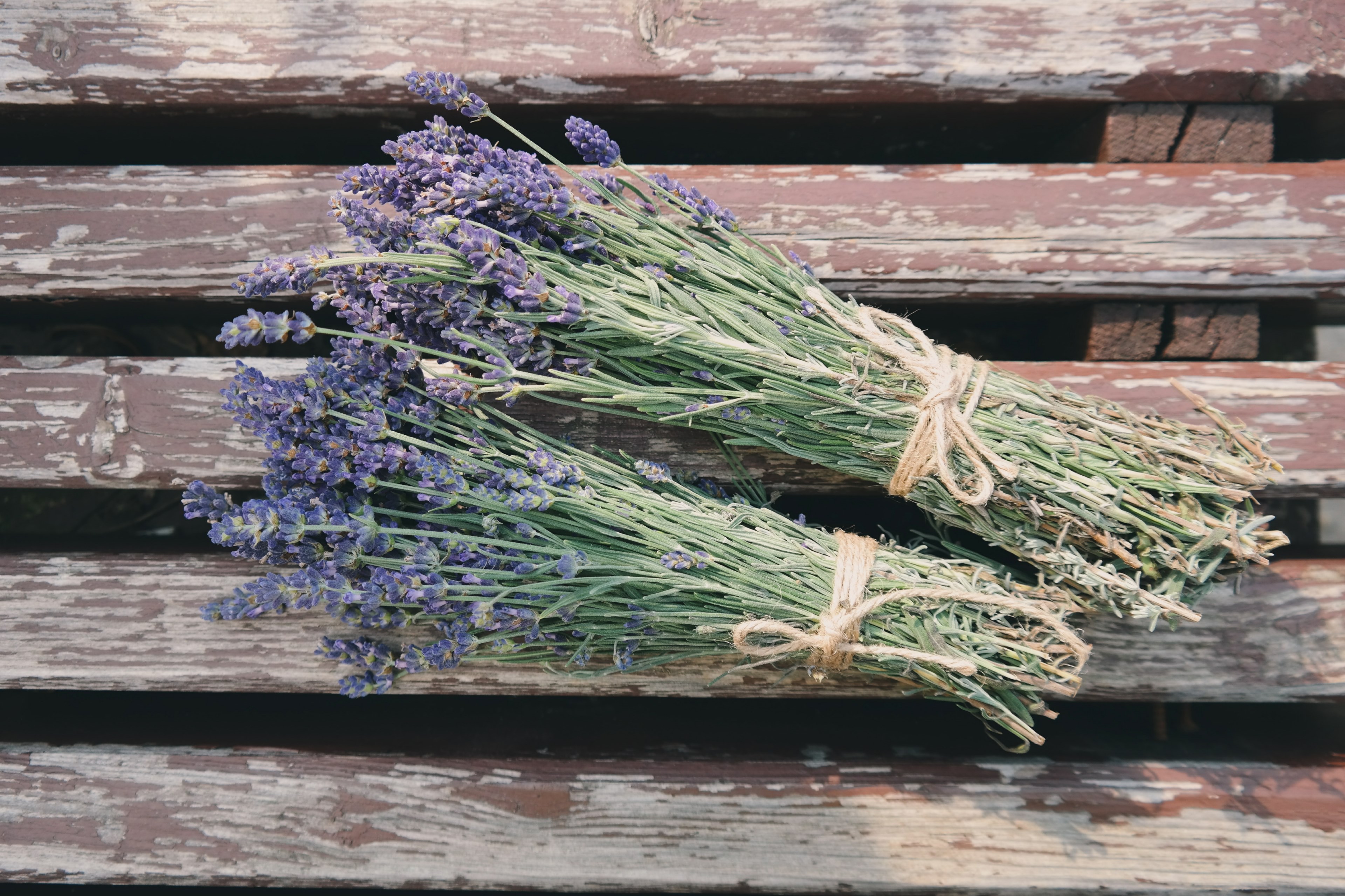 bluish purple flowers bundled up on a wooden deck, _blue purple flower bunches 4k, HD Wallpaper