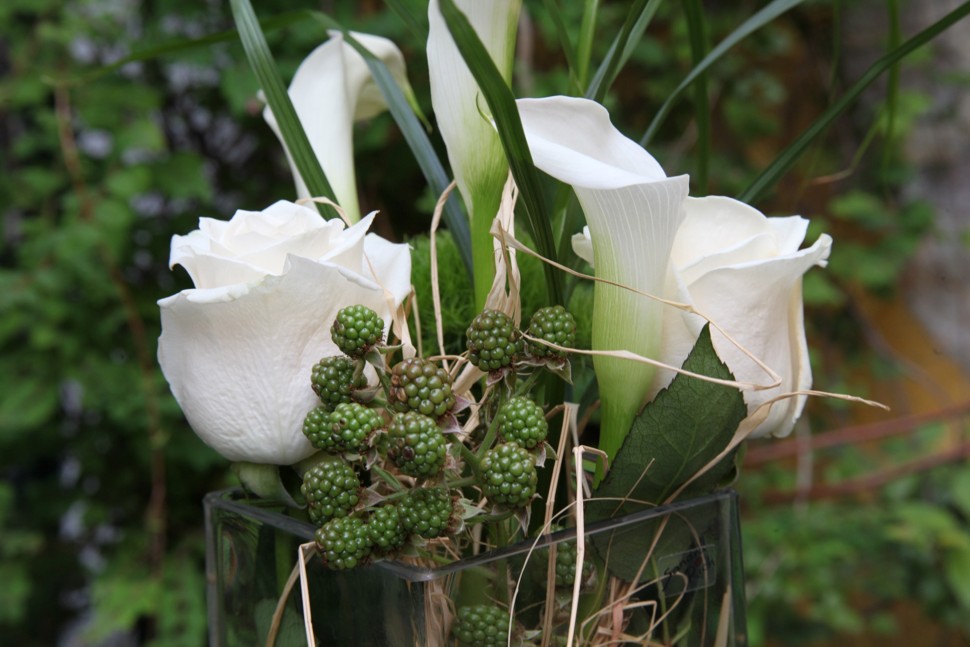 blackberry flower rose and arrangement 4k, HD Wallpaper
