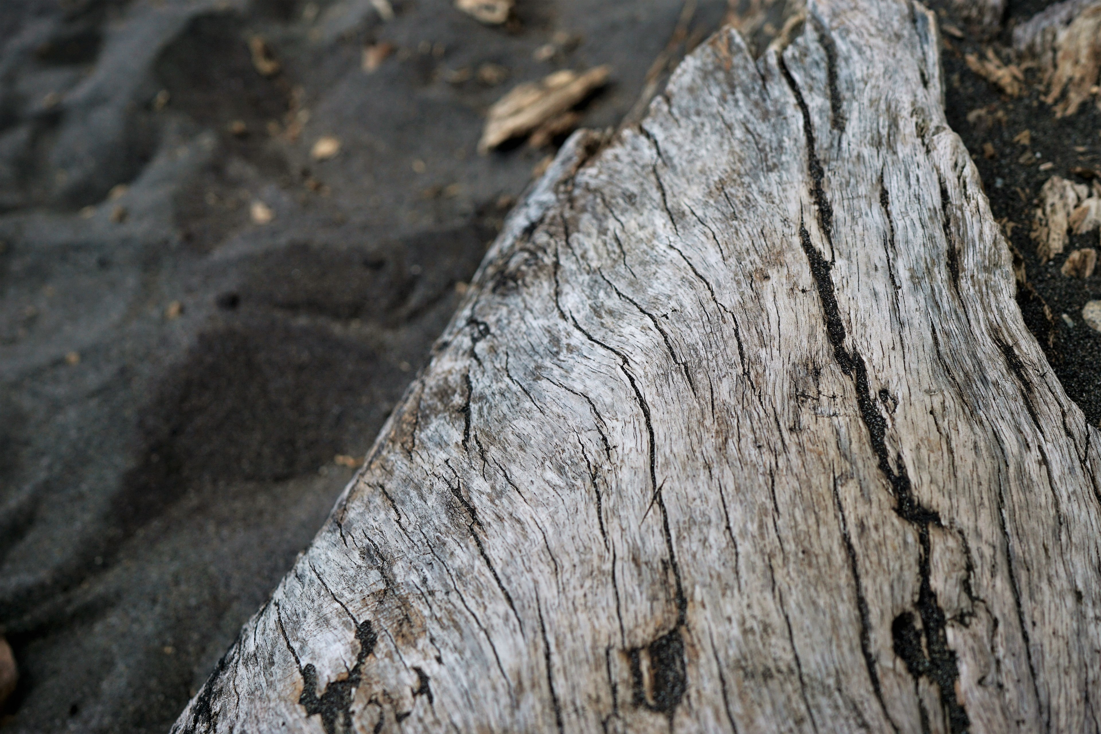 driftwood on black sand 4k, HD Wallpaper