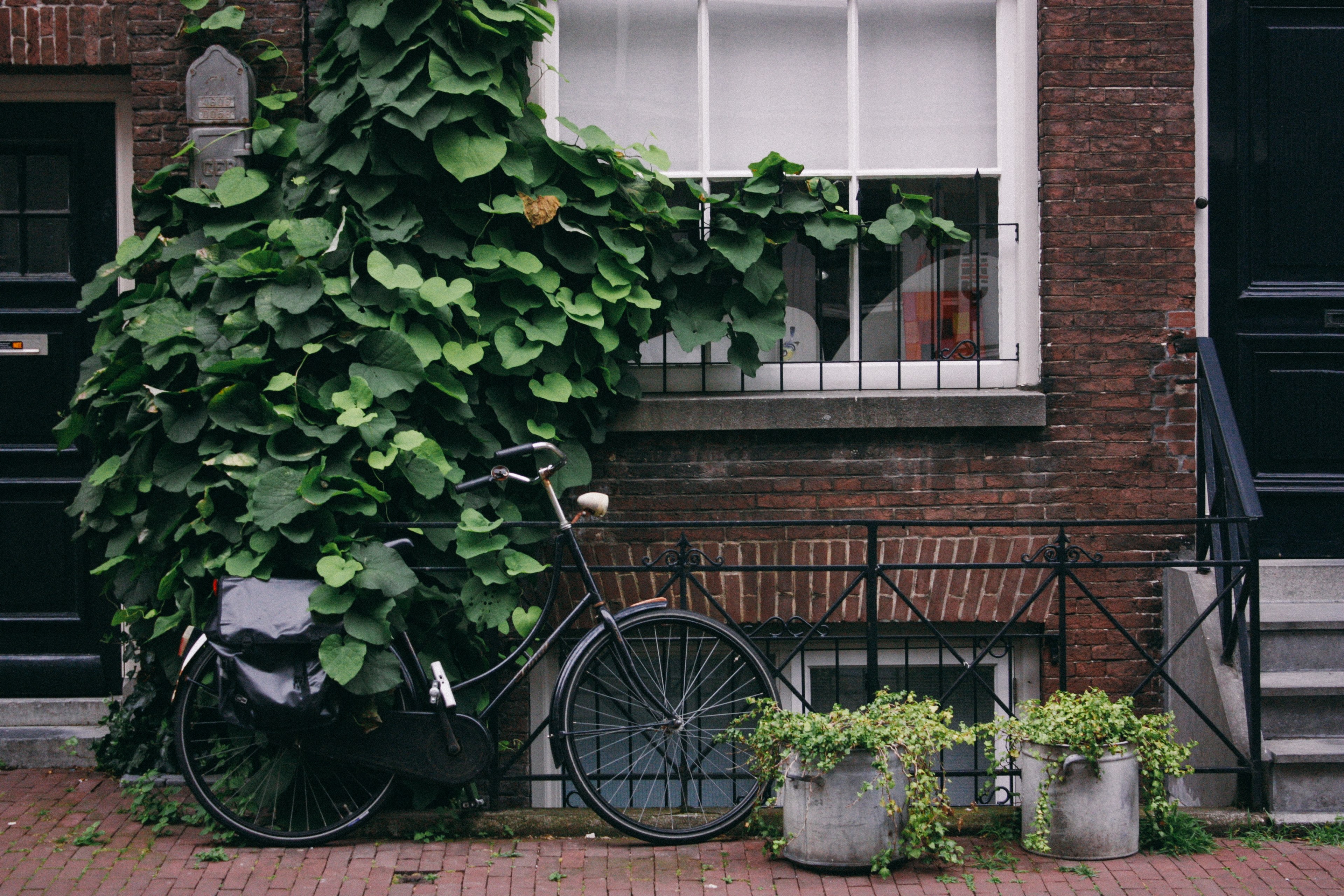 bike covered in green leaves sits in front of brick building and window beside two plants, bike and plants with brick 4k, HD Wallpaper