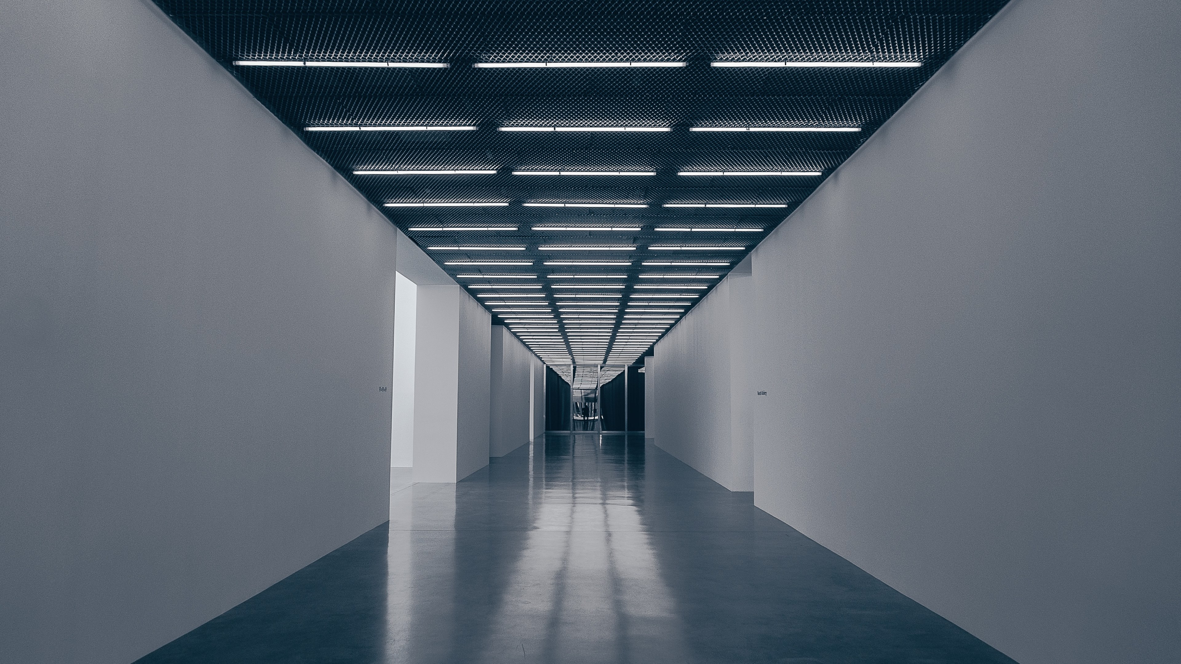 follow the lights 4k, HD Wallpaper