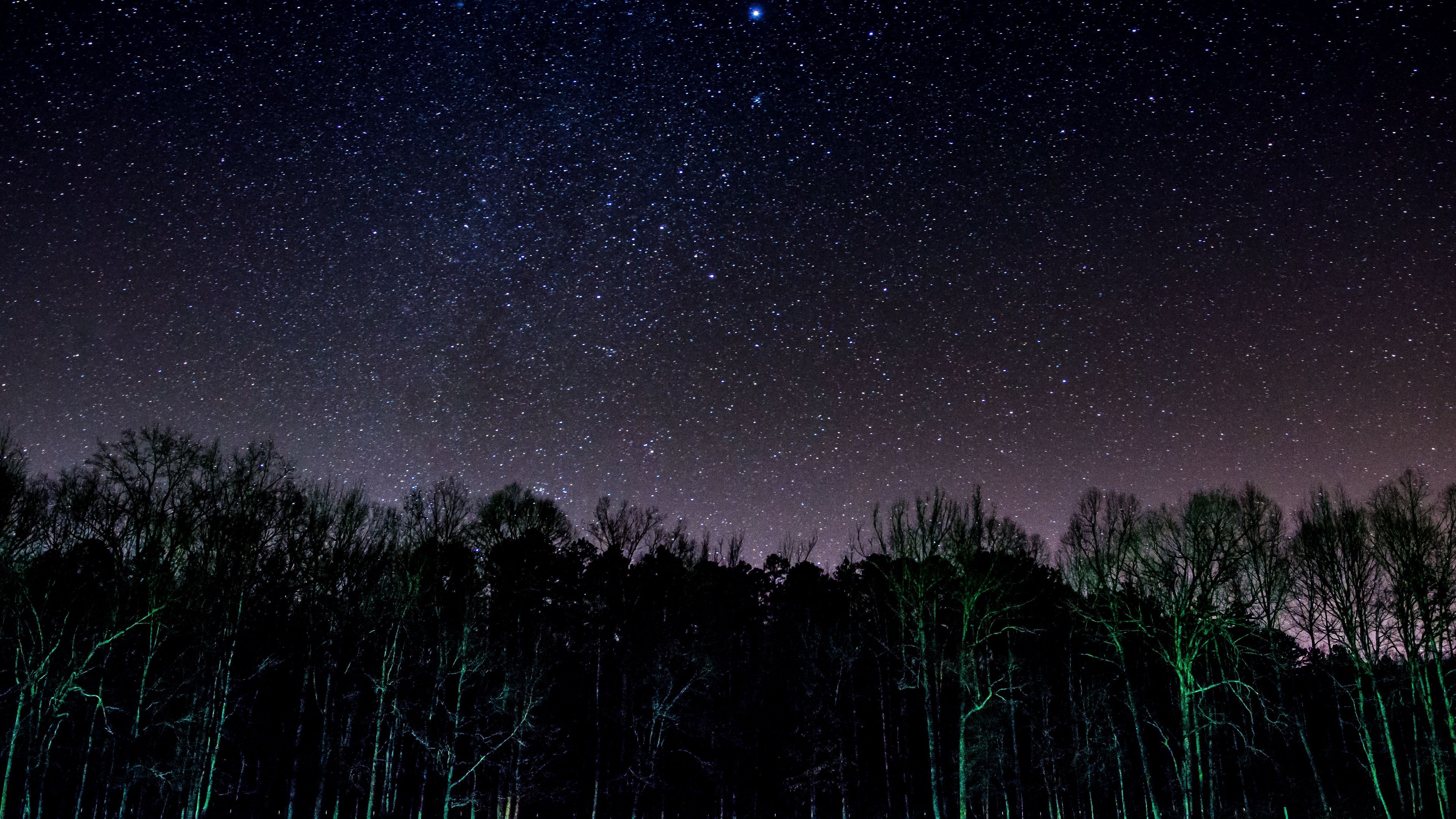 starry sky, trees, night, shine, 4k, HD Wallpaper