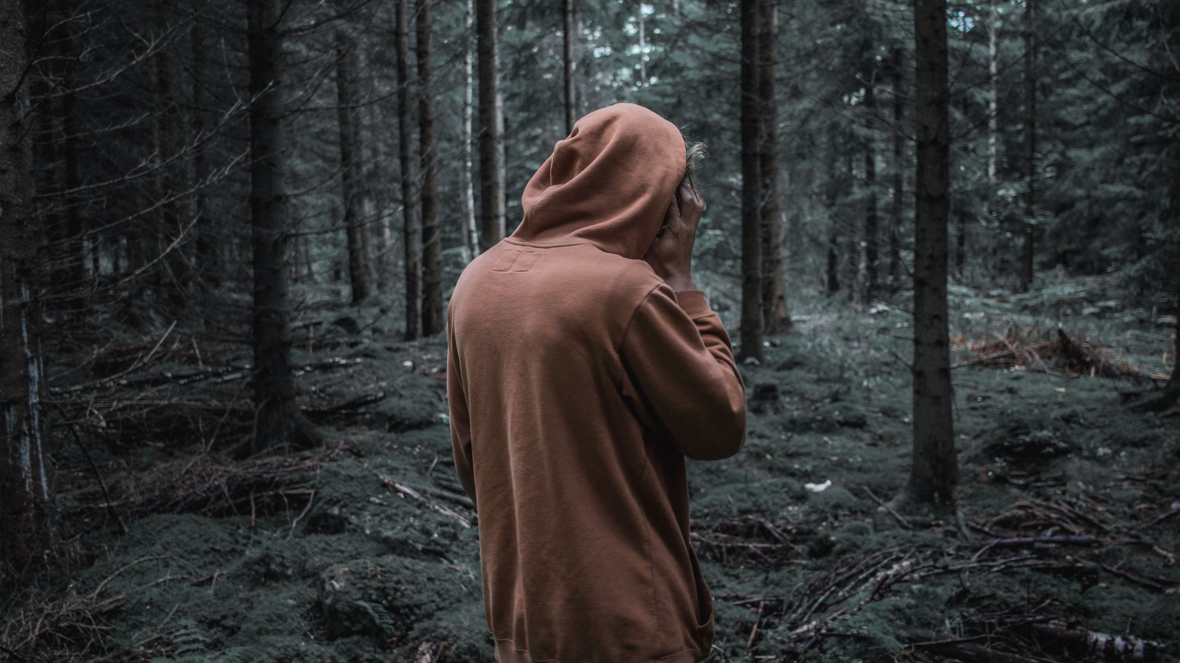 man, forest, hoodie, walk, 4k, HD Wallpaper